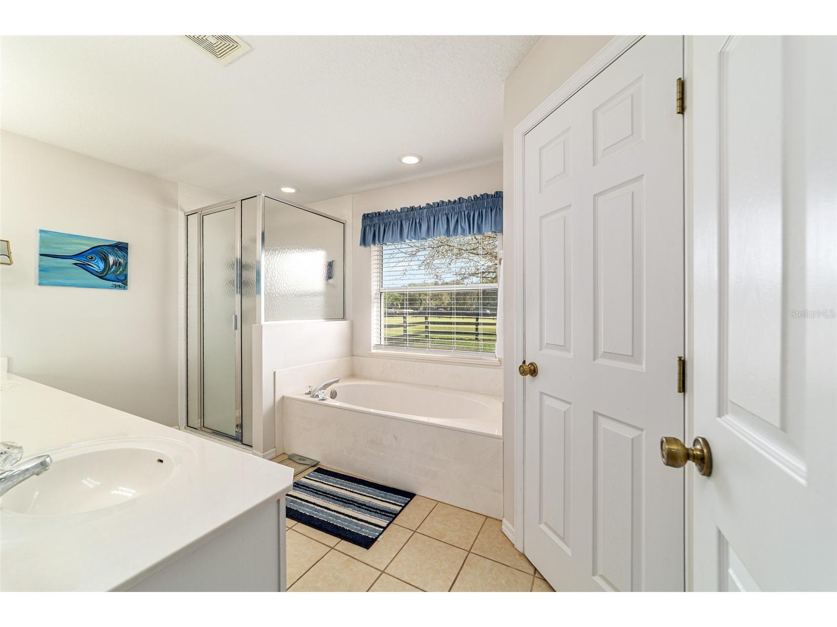 19630 SE 15th Place Morriston FL 32668 OM710566 image35