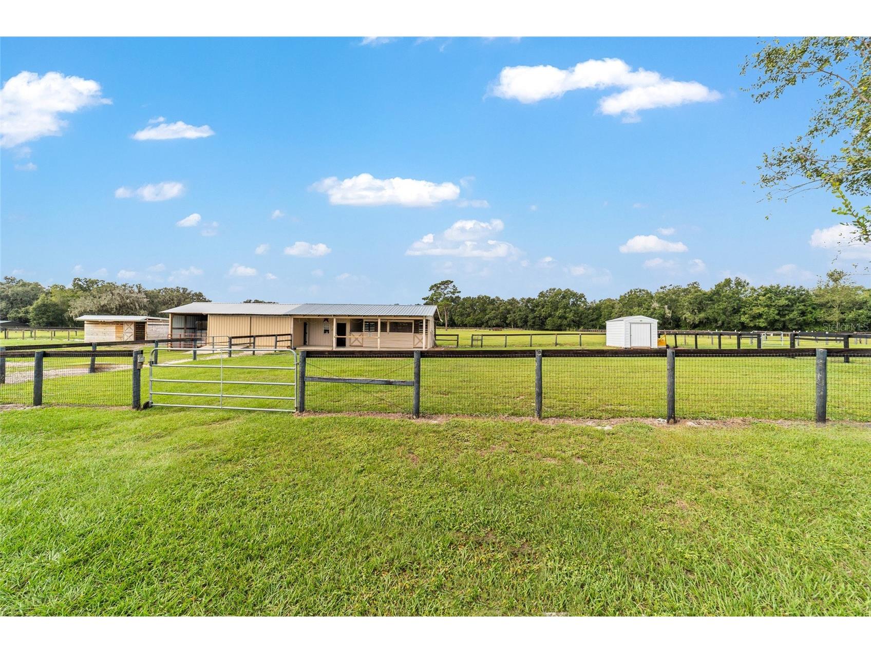 19630 SE 15th Place Morriston FL 32668 OM710566 image56