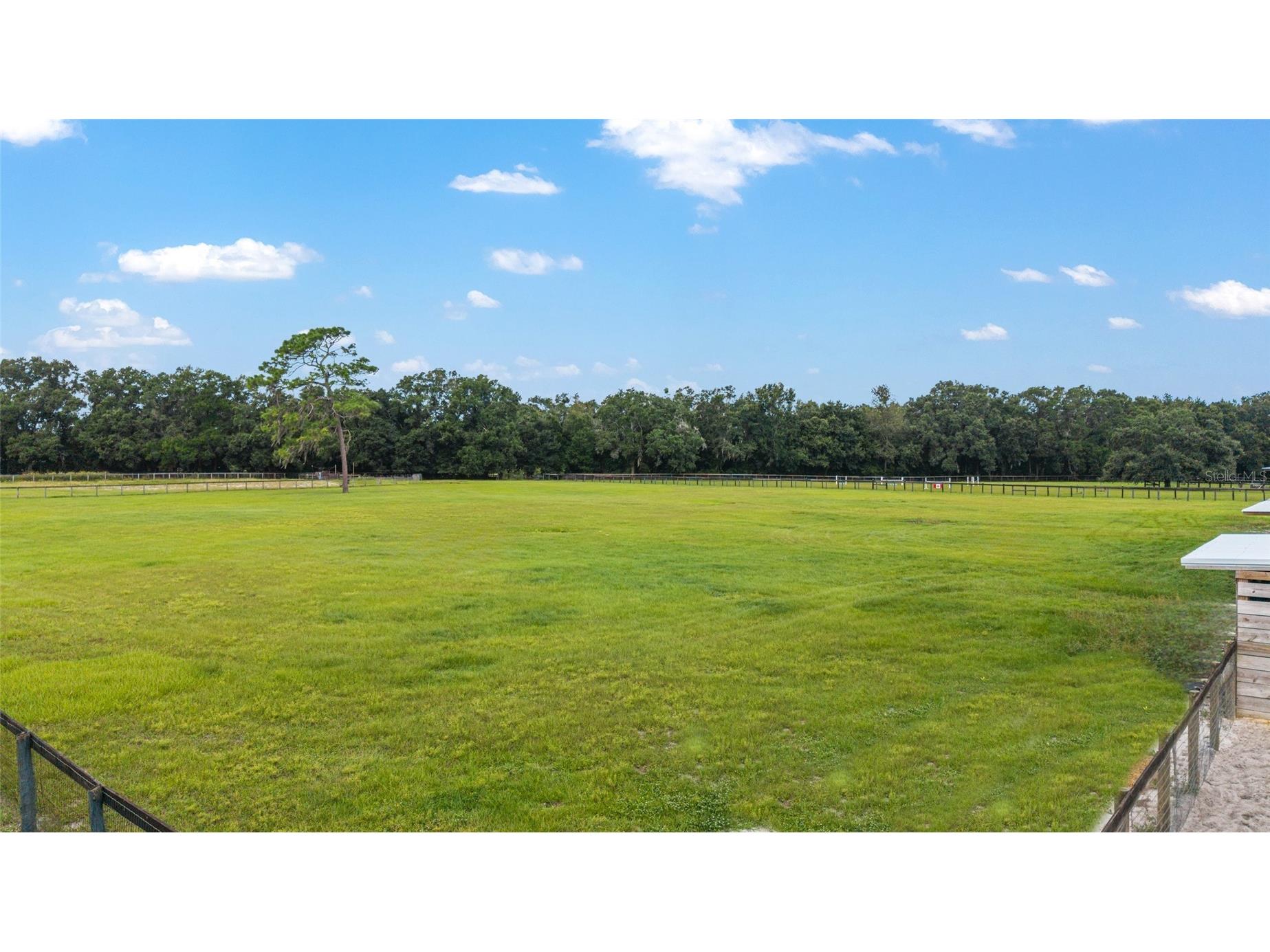 19630 SE 15th Place Morriston FL 32668 OM710566 image77