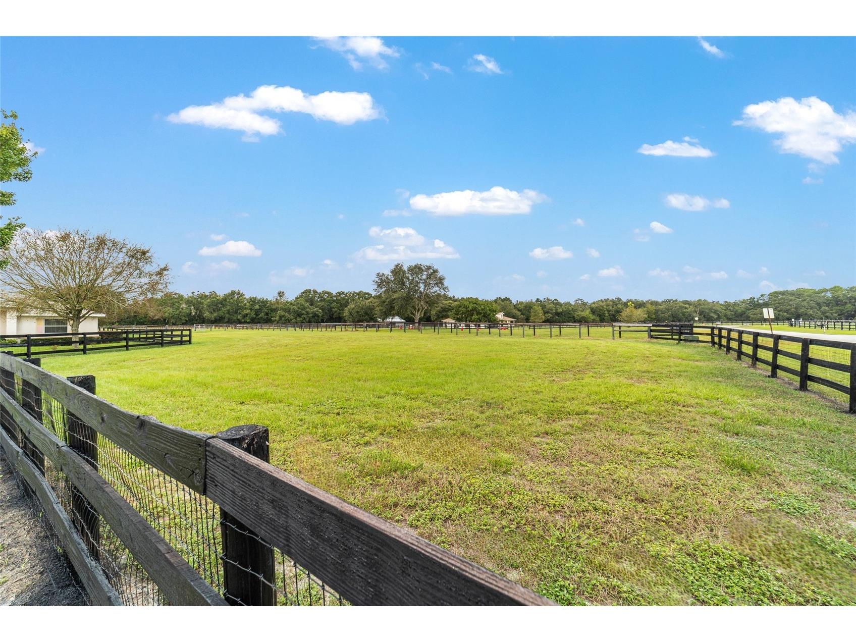 19630 SE 15th Place Morriston FL 32668 OM710566 image78