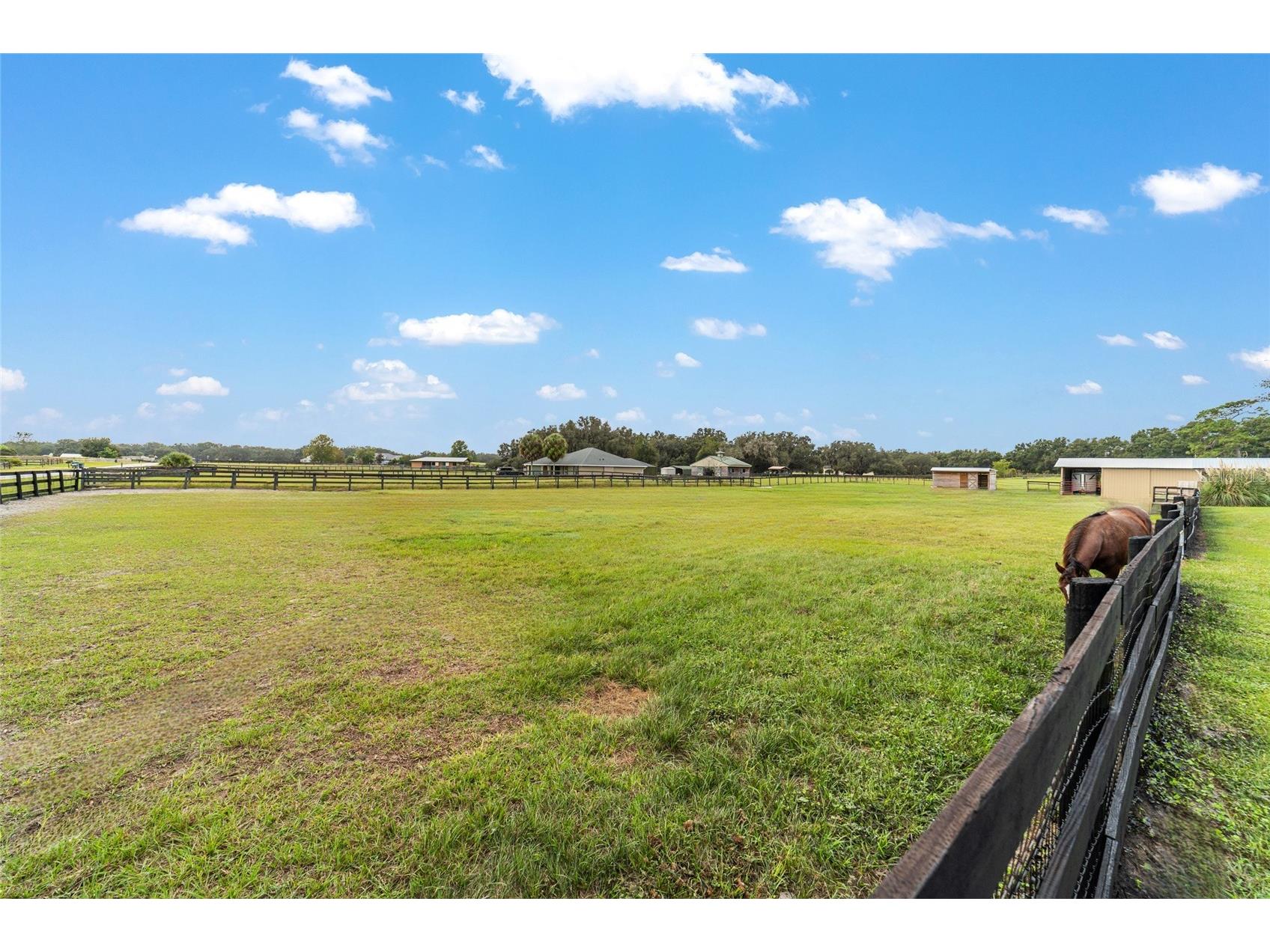 19630 SE 15th Place Morriston FL 32668 OM710566 image79