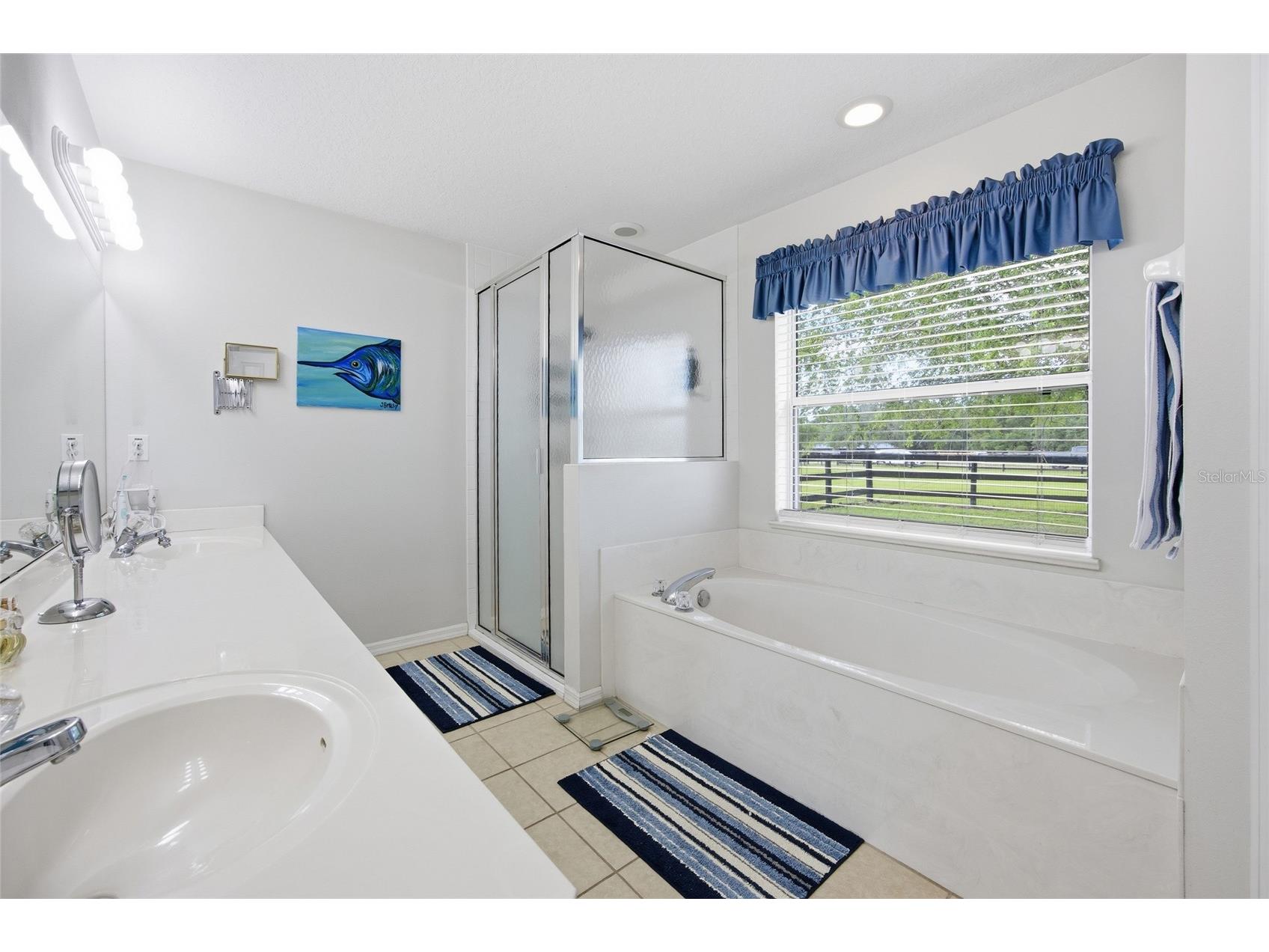 19630 SE 15th Place Morriston FL 32668 OM726164 image23