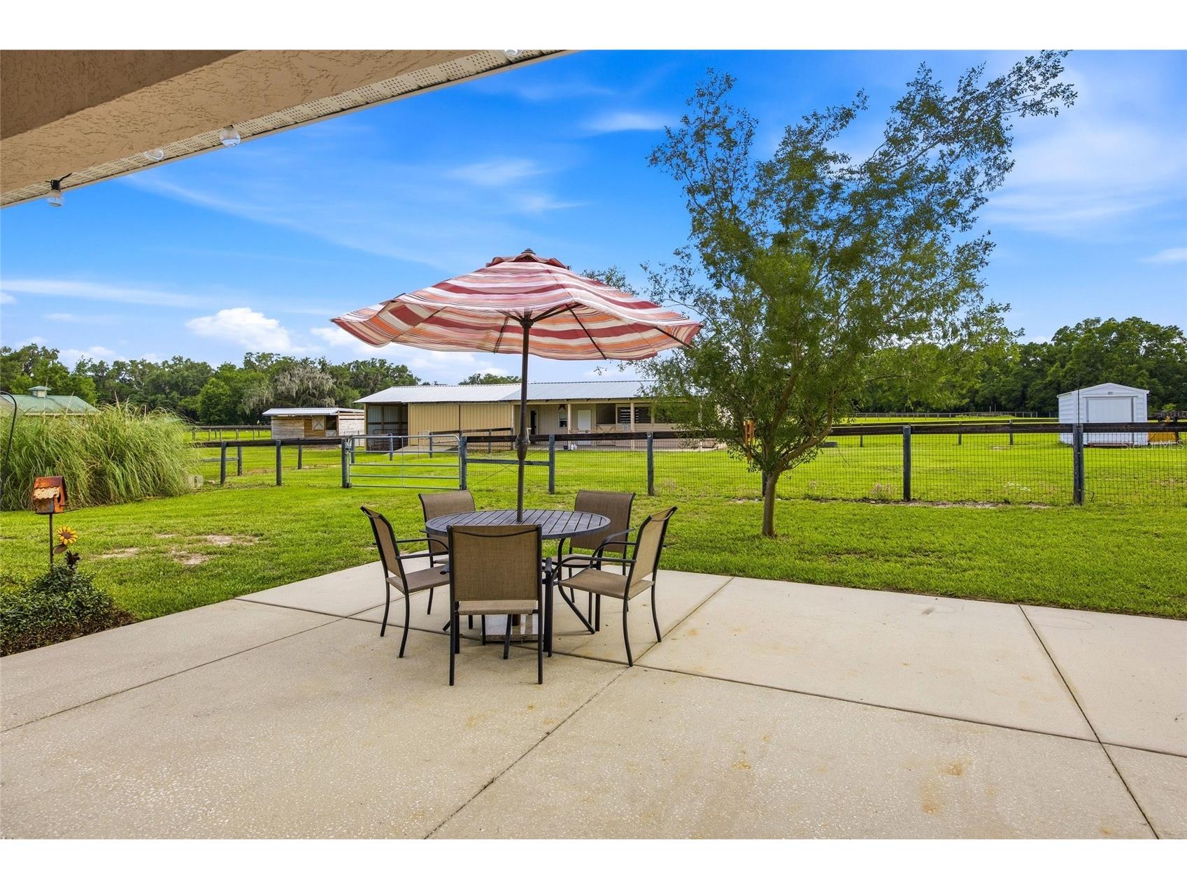 19630 SE 15th Place Morriston FL 32668 OM726164 image31