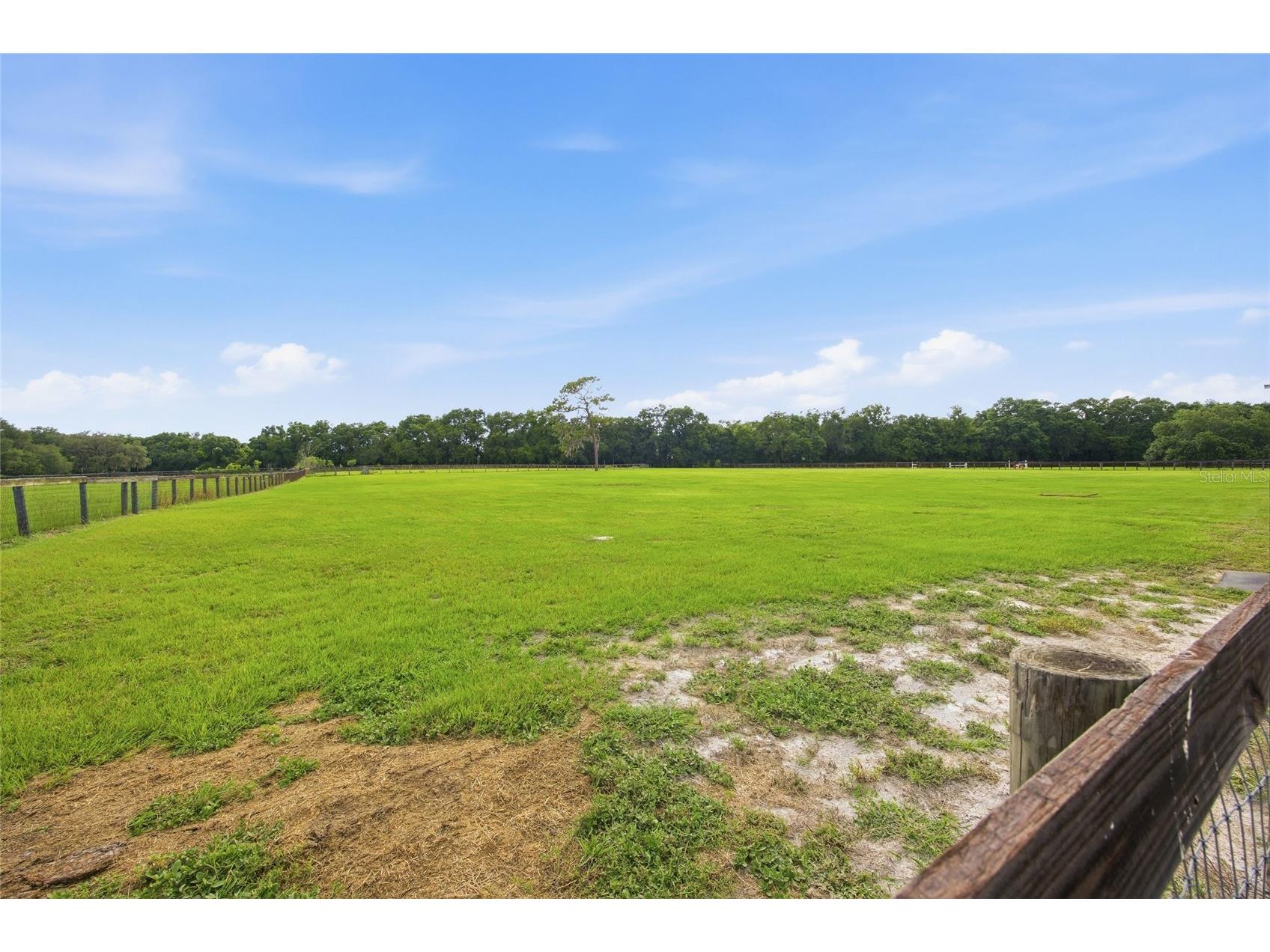 19630 SE 15th Place Morriston FL 32668 OM726164 image48