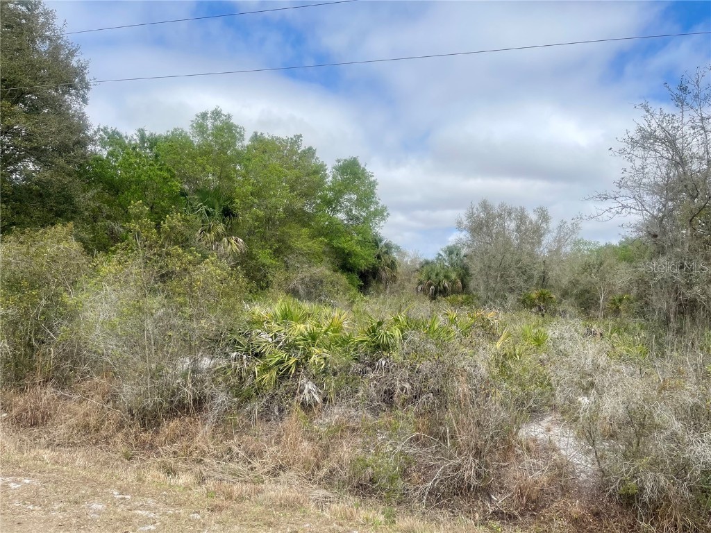 19631 NW 286th Street Okeechobee FL 34972 OK221117 image1