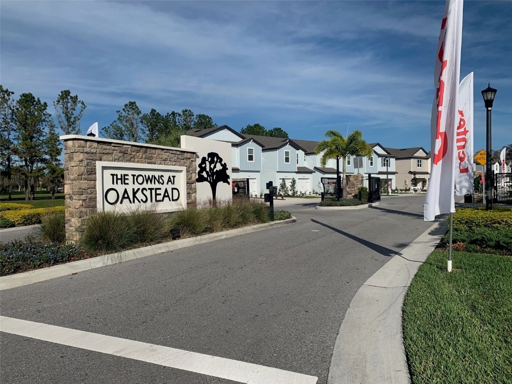 19635 Shady Oak Drive Land O Lakes FL 34638 T3346524 image1