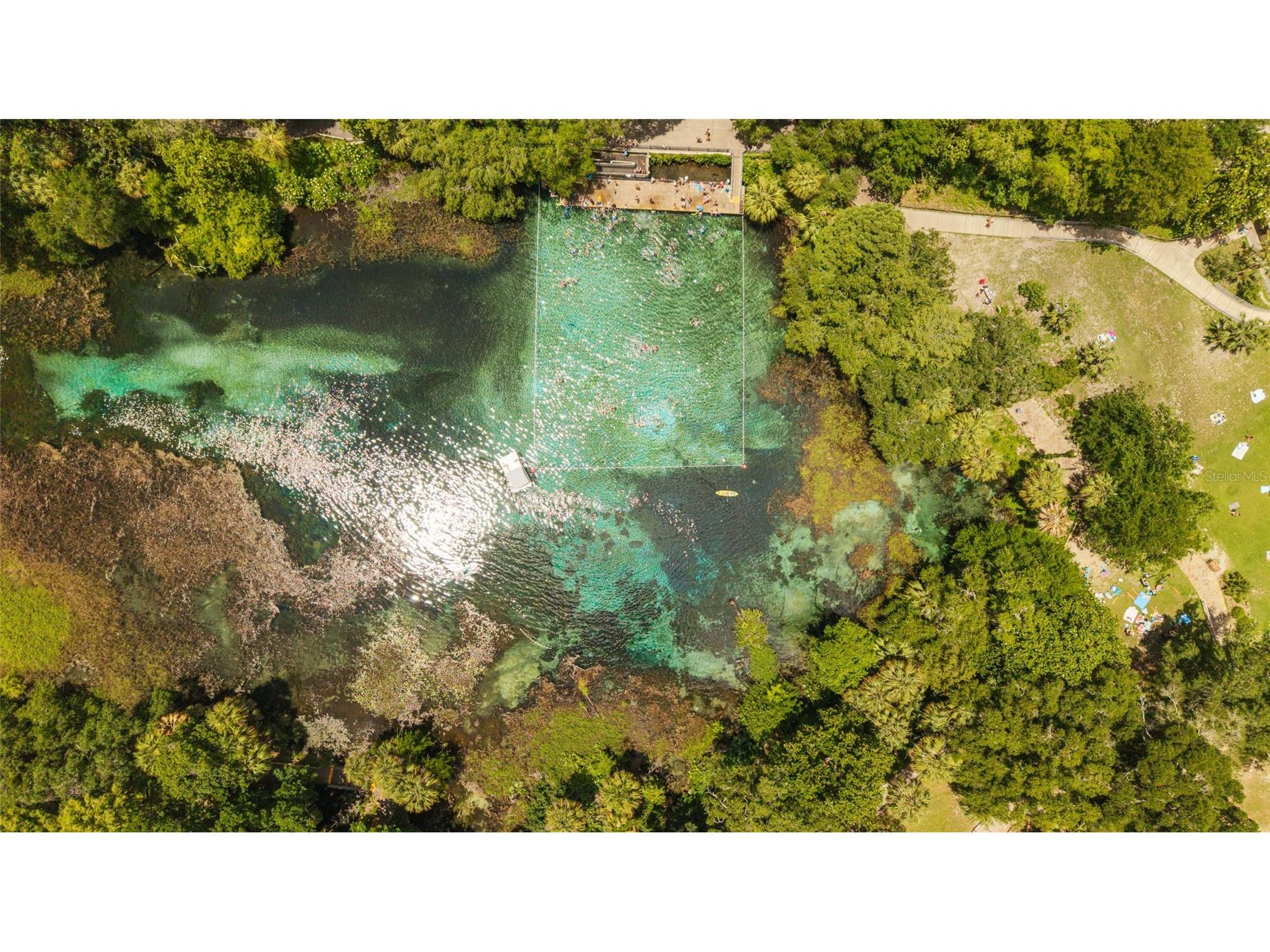 19639 SW 77th Loop Dunnellon FL 34432 OM726155 image64