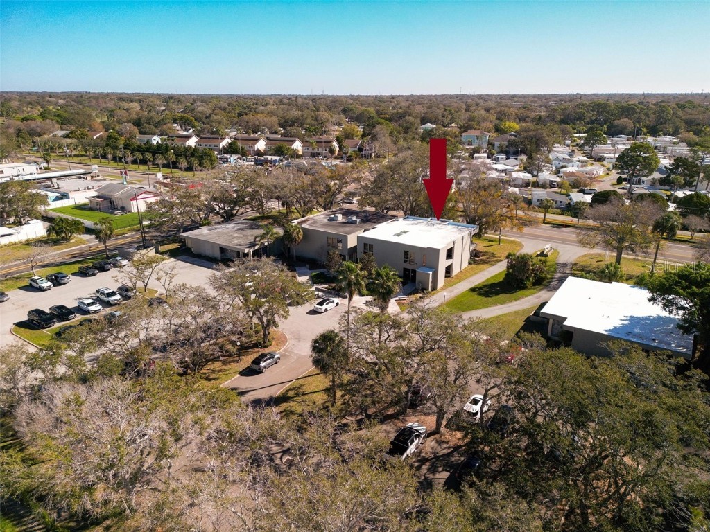 1964 Bayshore Boulevard, Dunedin, FL, 34698 MLS U8230596 Edina Realty