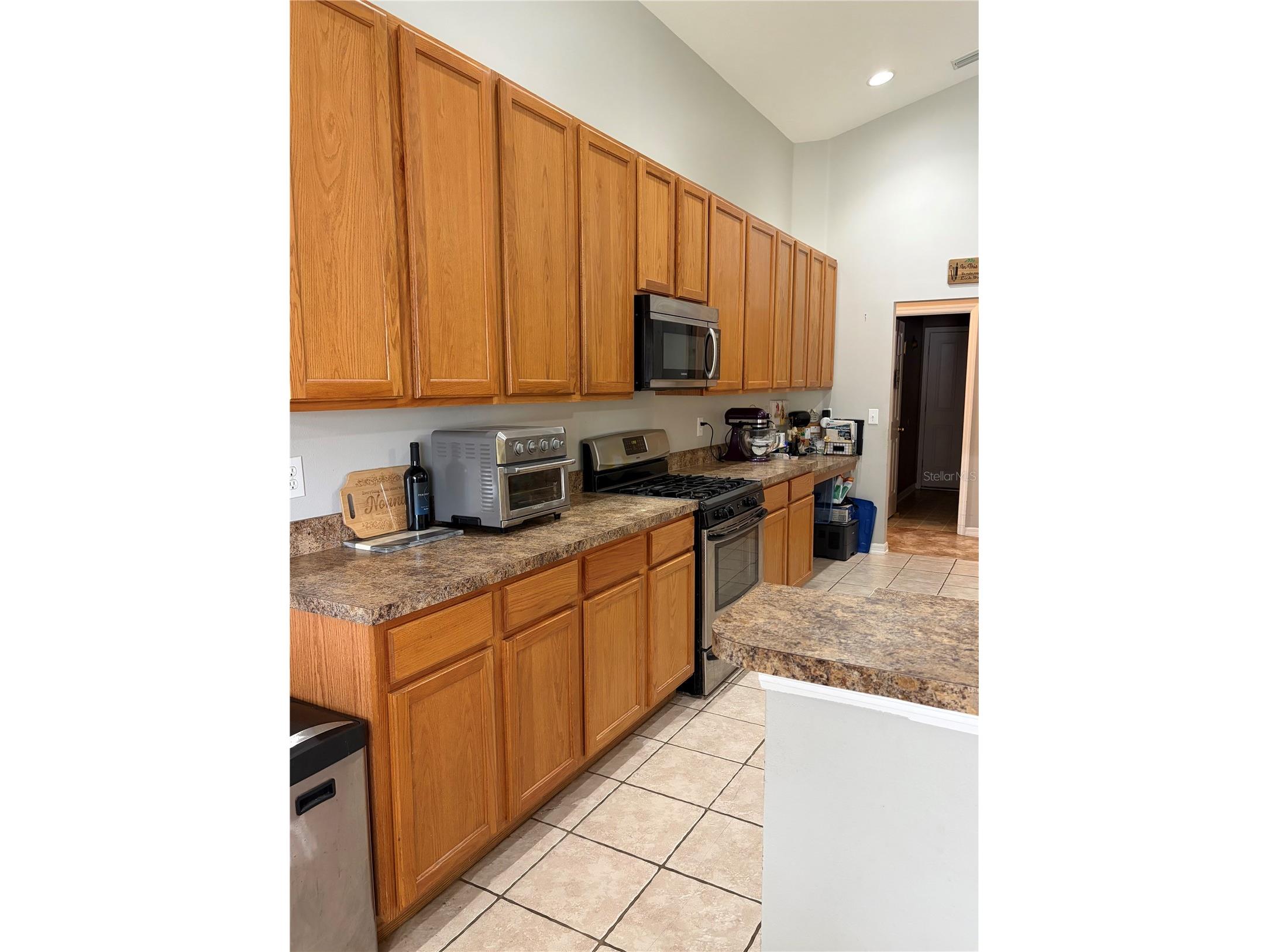 19640 Bergenfeld Drive Land O Lakes FL 34638 TB8511157 image19