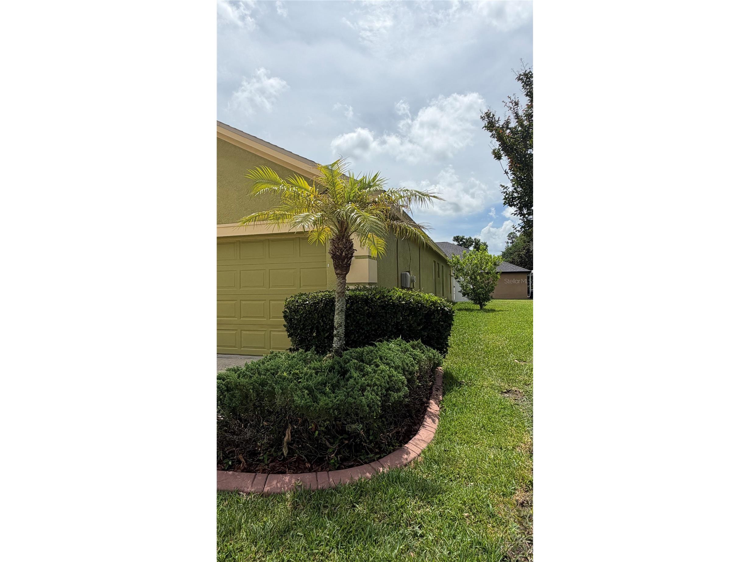 19640 Bergenfeld Drive Land O Lakes FL 34638 TB8511157 image41