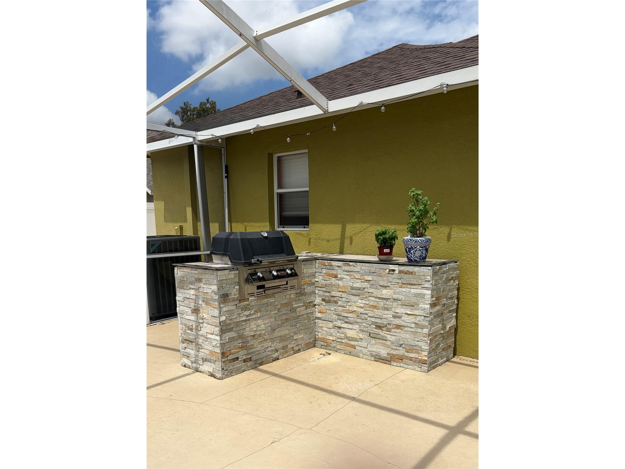 19640 Bergenfeld Drive Land O Lakes FL 34638 TB8511157 image6