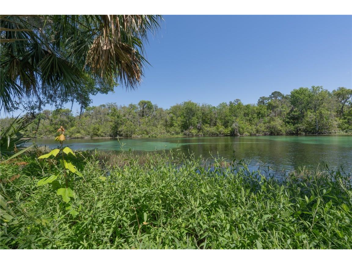 19643 SW 79th Place Dunnellon FL 34432 - RAINBOW RIVER OM709904 image48