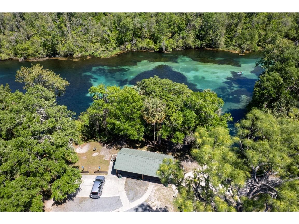 19643 SW 79th Place Dunnellon FL 34432 - RAINBOW RIVER OM709904 image50