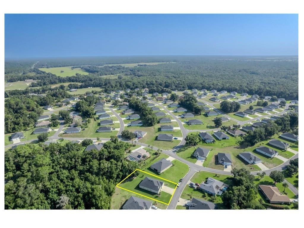 19643 SW 79th Place Dunnellon FL 34432 - RAINBOW RIVER OM709904 image6