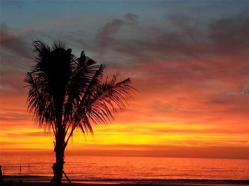 19646 Gulf Boulevard #3 Indian Shores FL 33785 - GULF OF MEXICO U7742237 image26