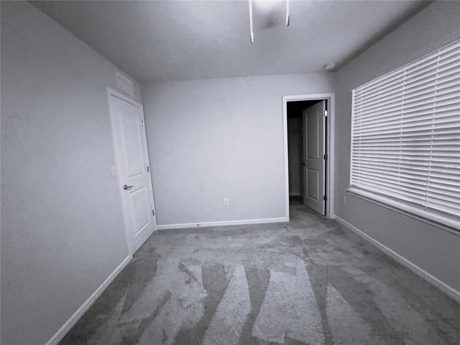 19646 Shady Oak Drive Land O Lakes FL 34638 TB8518455 image14