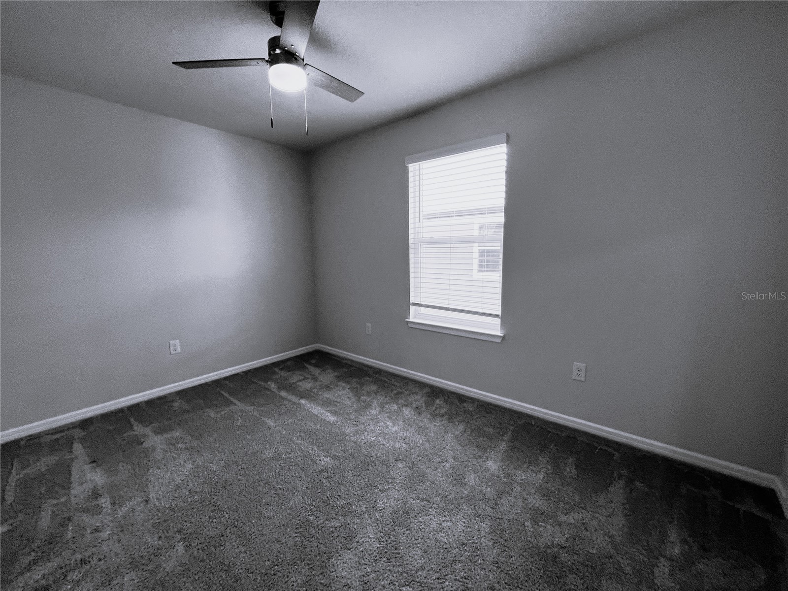 19646 Shady Oak Drive Land O Lakes FL 34638 TB8518455 image15