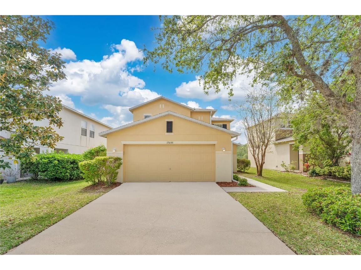 19648 Timberbluff Drive Land O Lakes FL 34638 O6294026 image1
