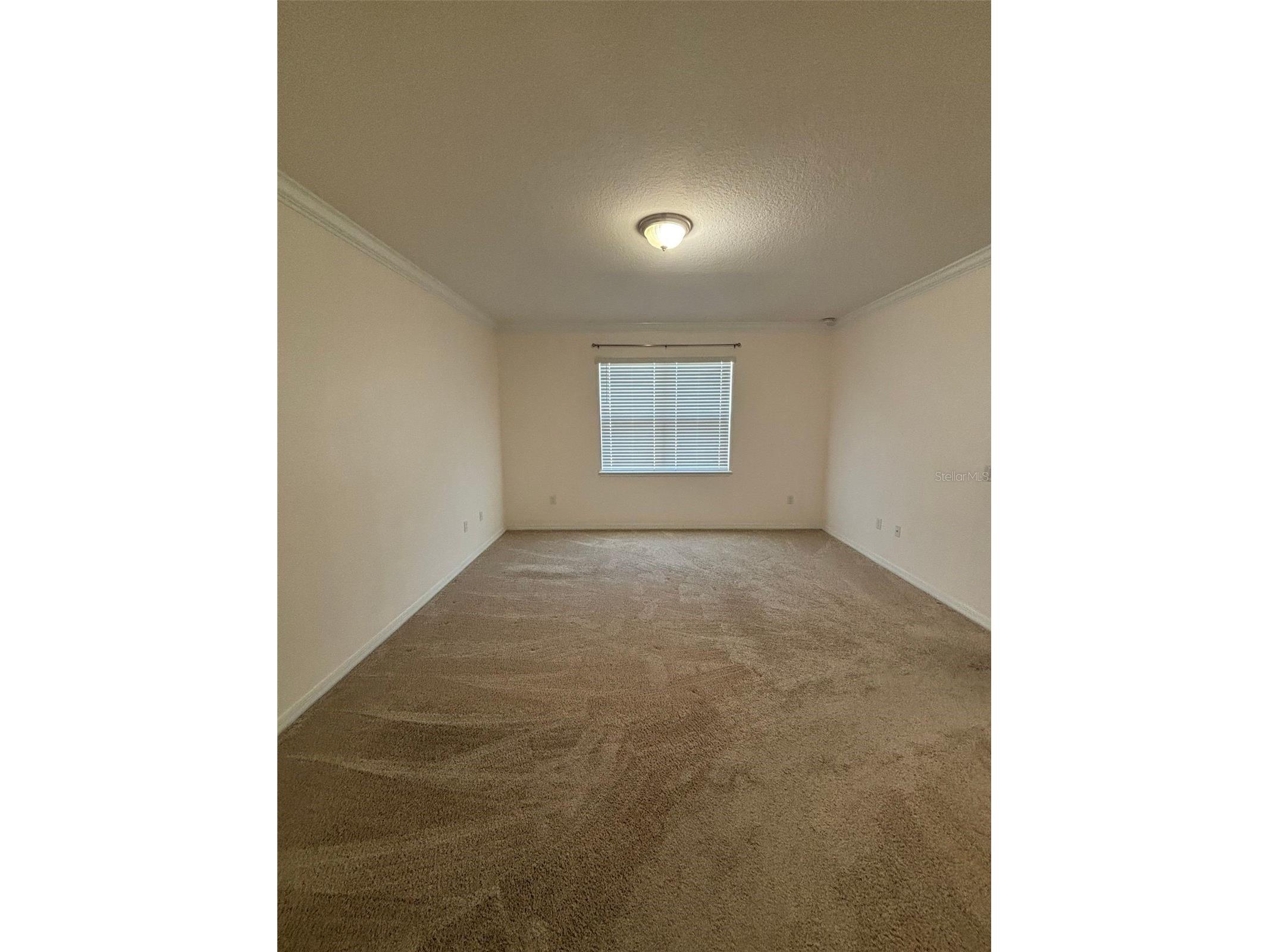 1965 Partin Terrace Road Kissimmee FL 34744 S5146990 image10