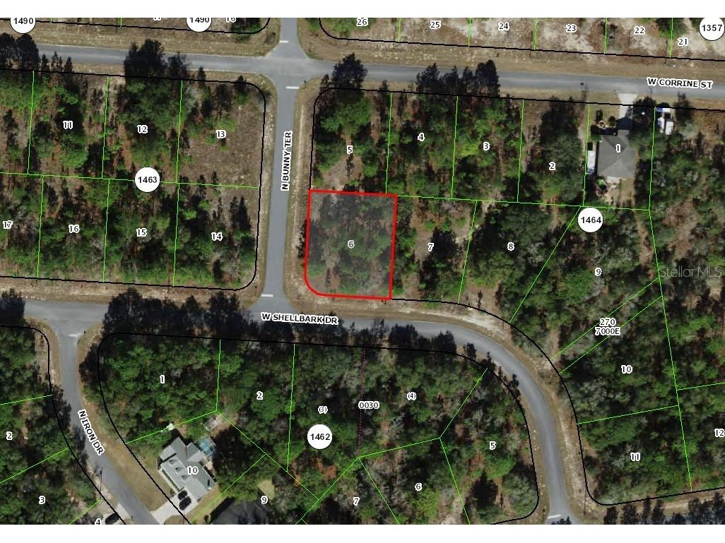 1965 W Shellbark Drive Citrus Springs FL 34434 W7863607 image1