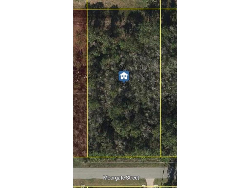 19650 Moorgate Street Orlando FL 32833 O6314278 image1