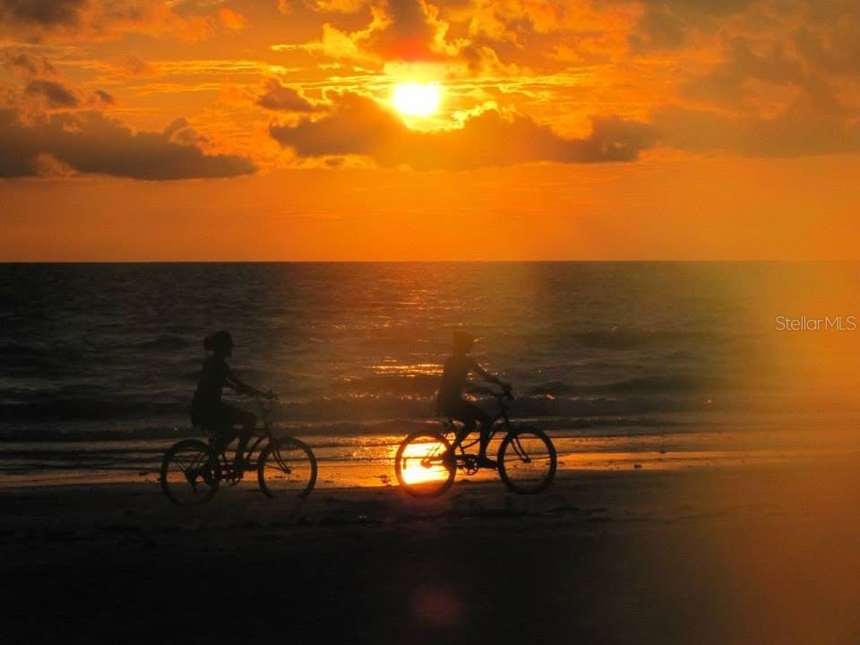 19652 Gulf Boulevard Indian Shores FL 33785 TB8478077 image23