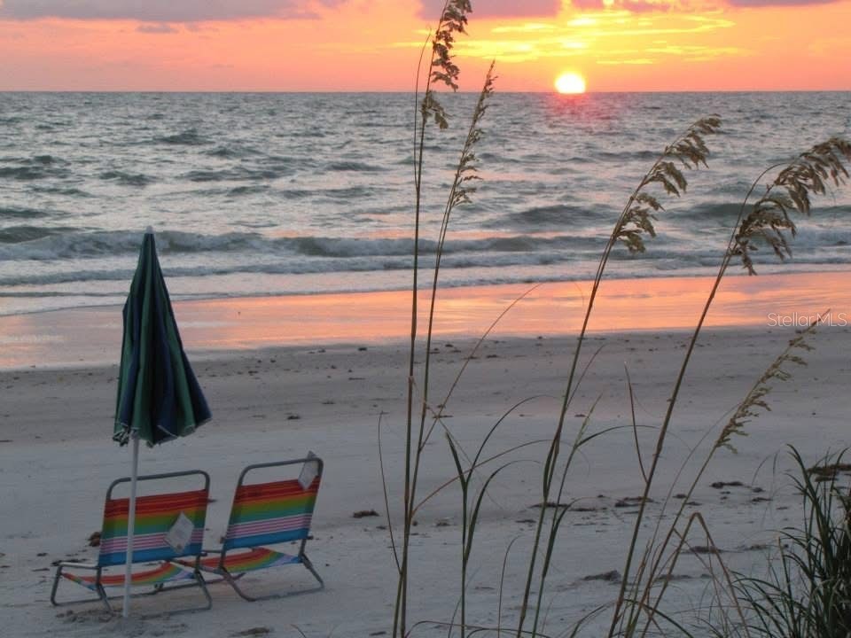 19652 Gulf Boulevard Indian Shores FL 33785 TB8478592 image21