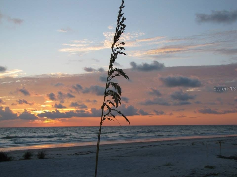 19652 Gulf Boulevard Indian Shores FL 33785 TB8478592 image22