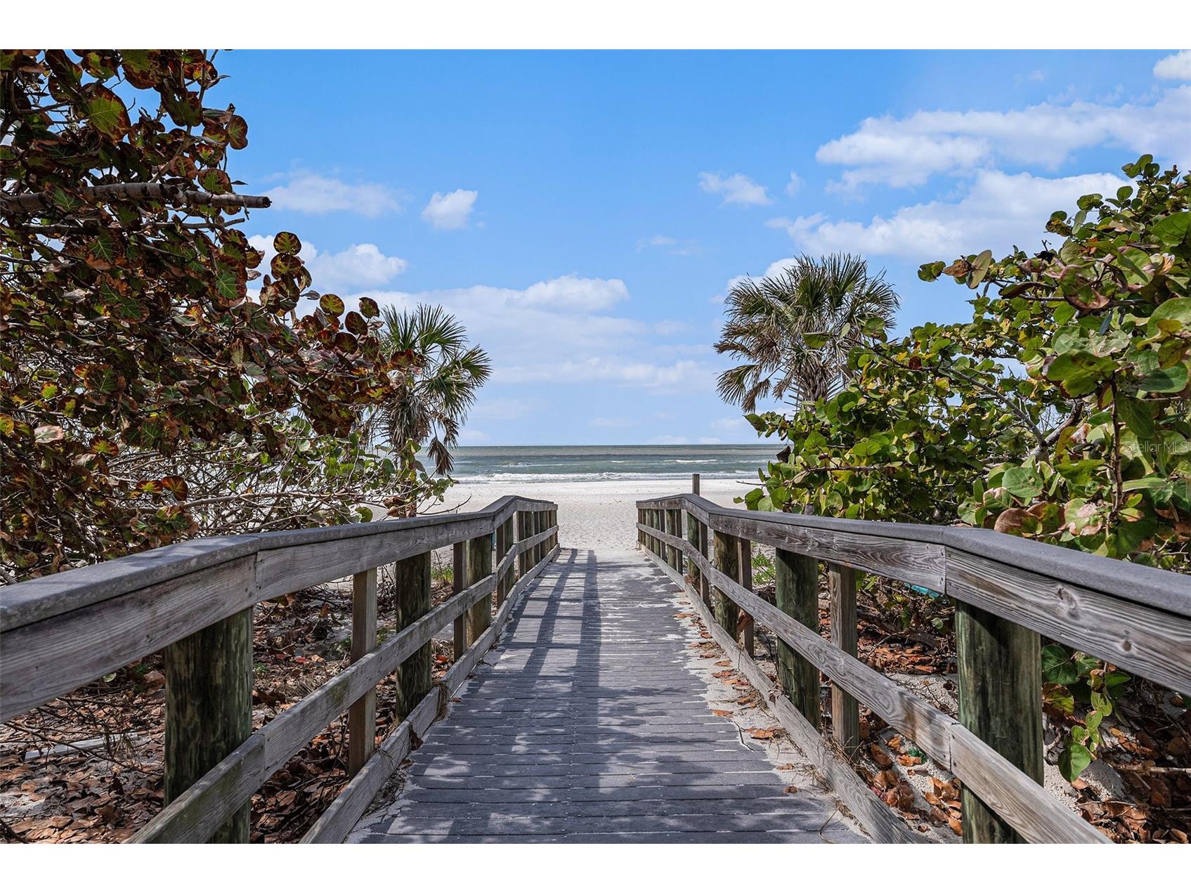 19652 Gulf Boulevard Indian Shores FL 33785 TB8478592 image9