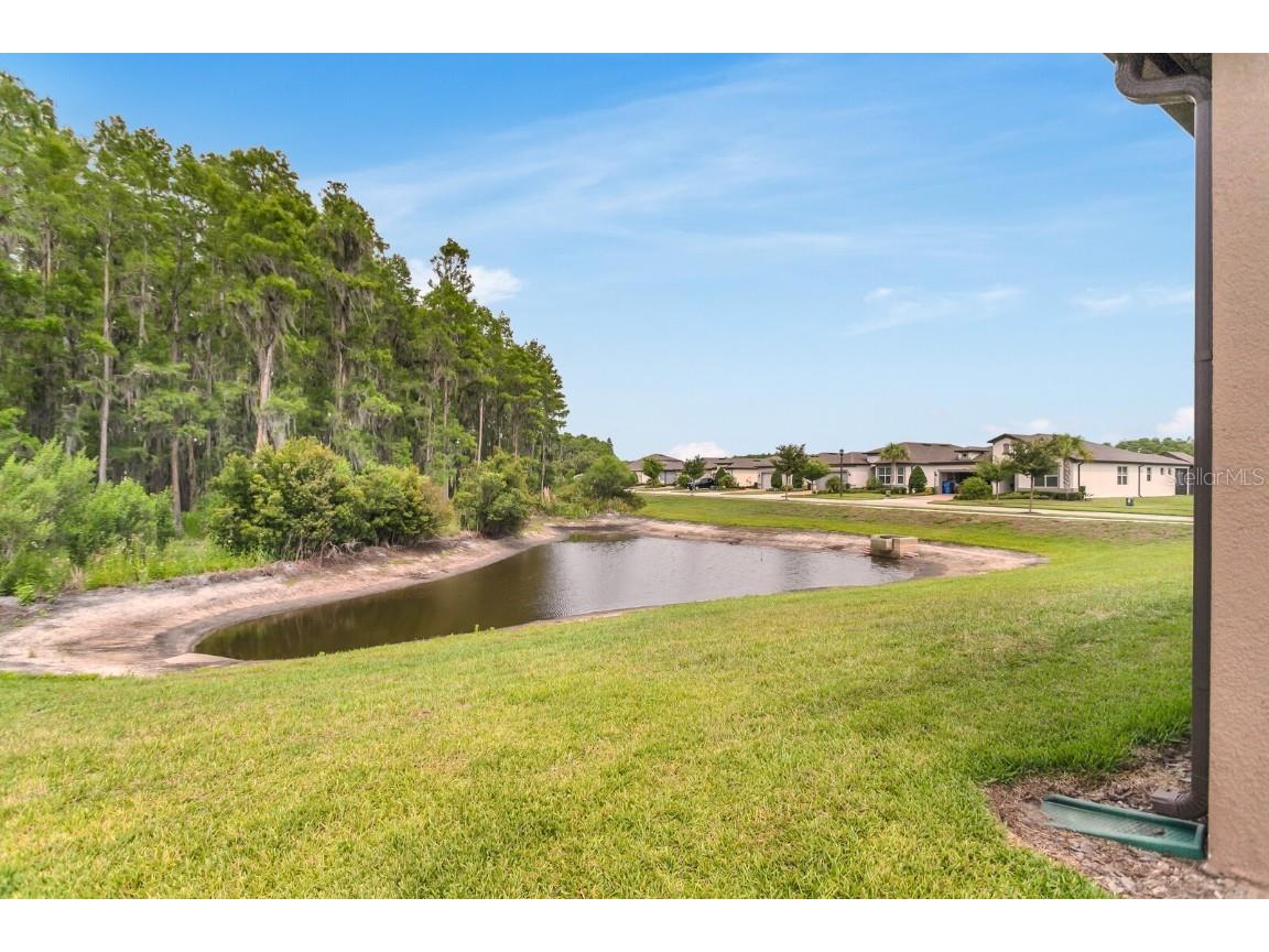 19652 Ship Wheel Way Land O Lakes FL 34638 TB8389274 image34