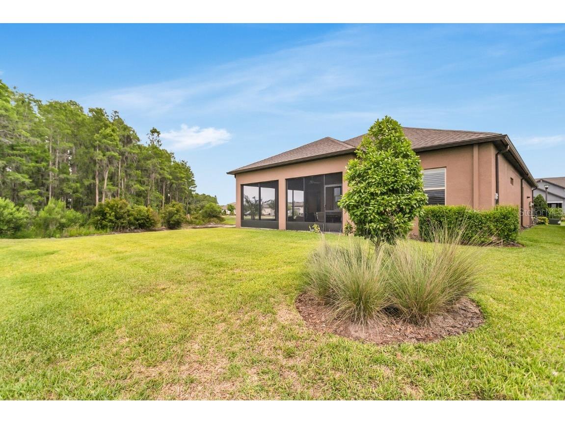 19652 Ship Wheel Way Land O Lakes FL 34638 TB8389274 image43