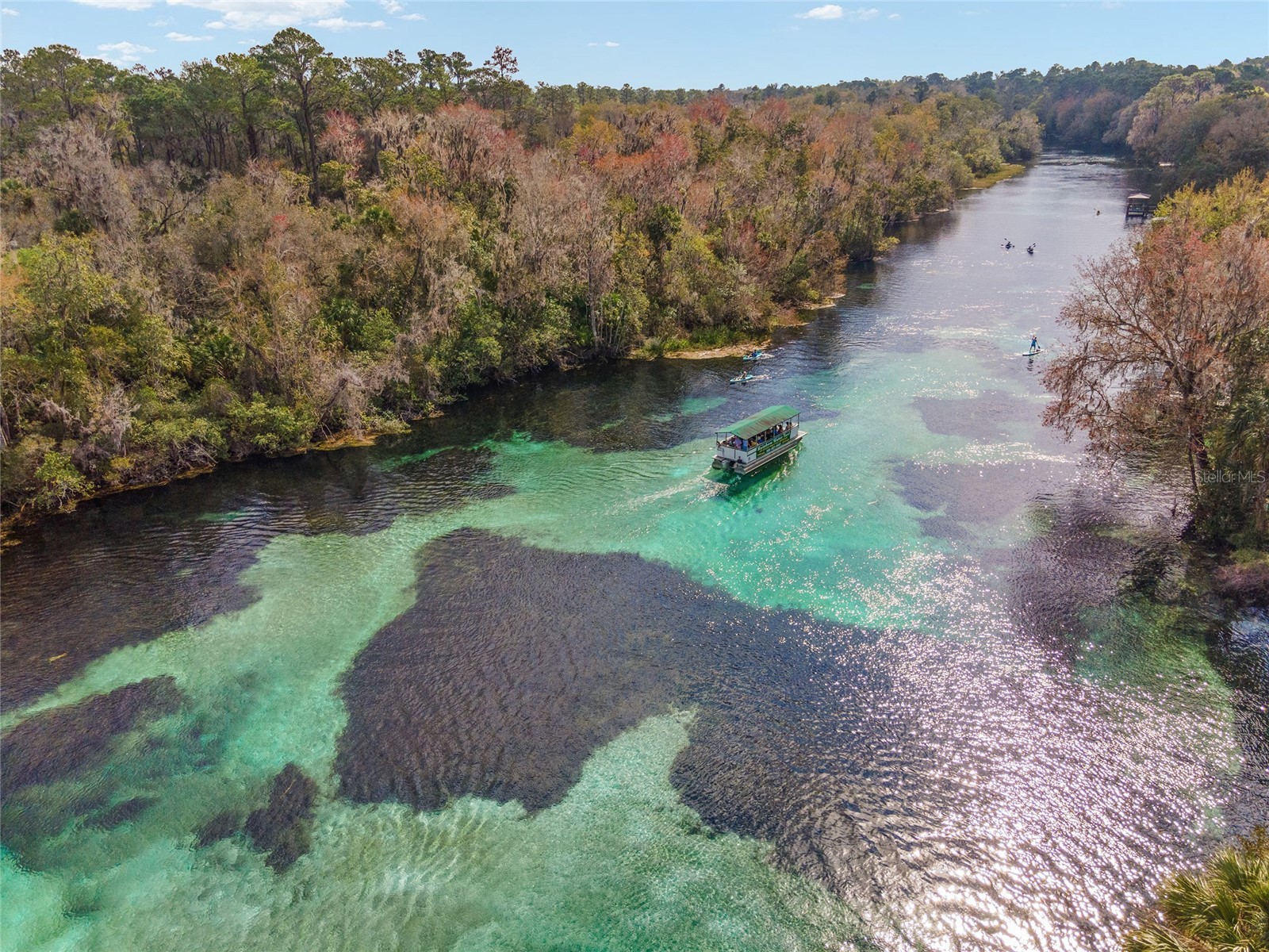 19654 SW 88th Loop Dunnellon FL 34432 OM726572 image93