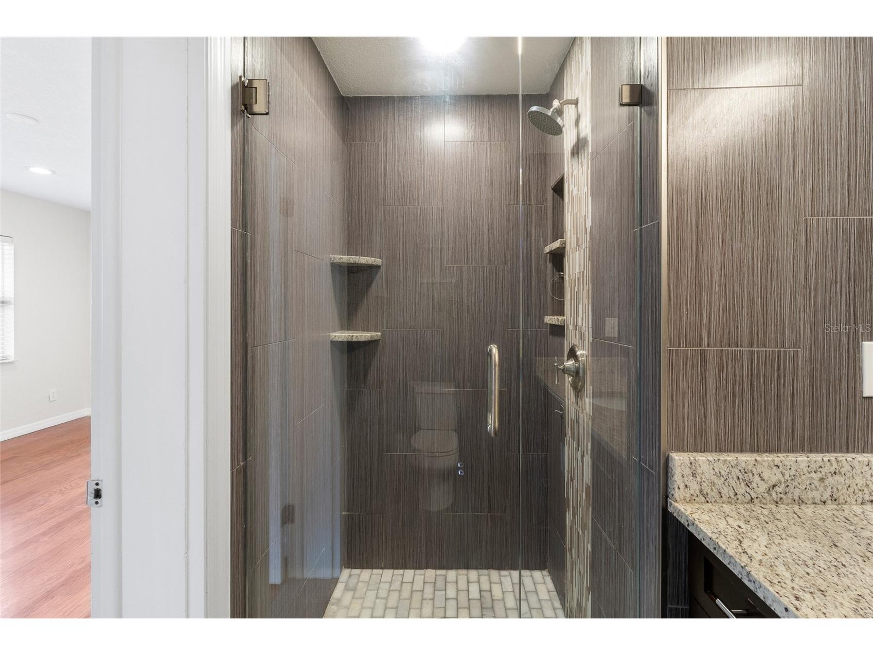 1966 Sandra Drive Clearwater FL 33764 TB8497983 image32