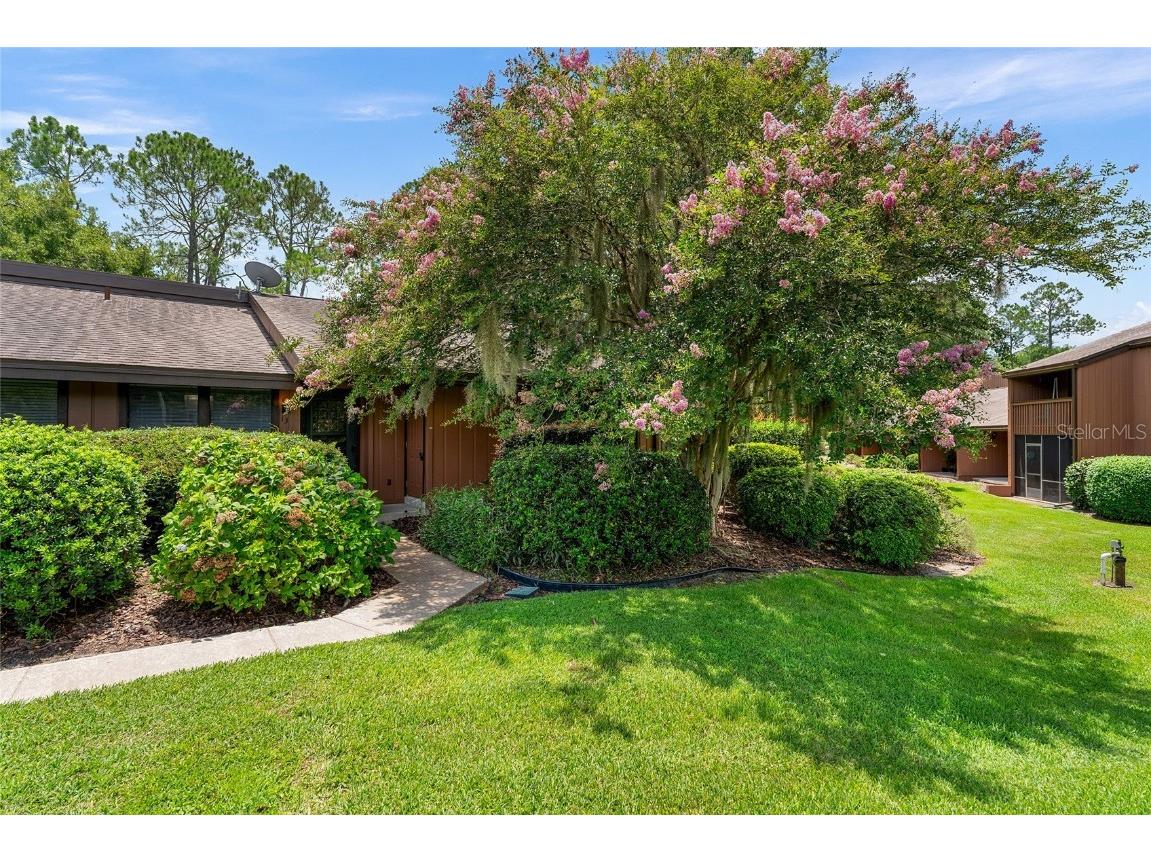 19660 SW 83rd Place Road #C13 Dunnellon FL 34432 OM711988 image1