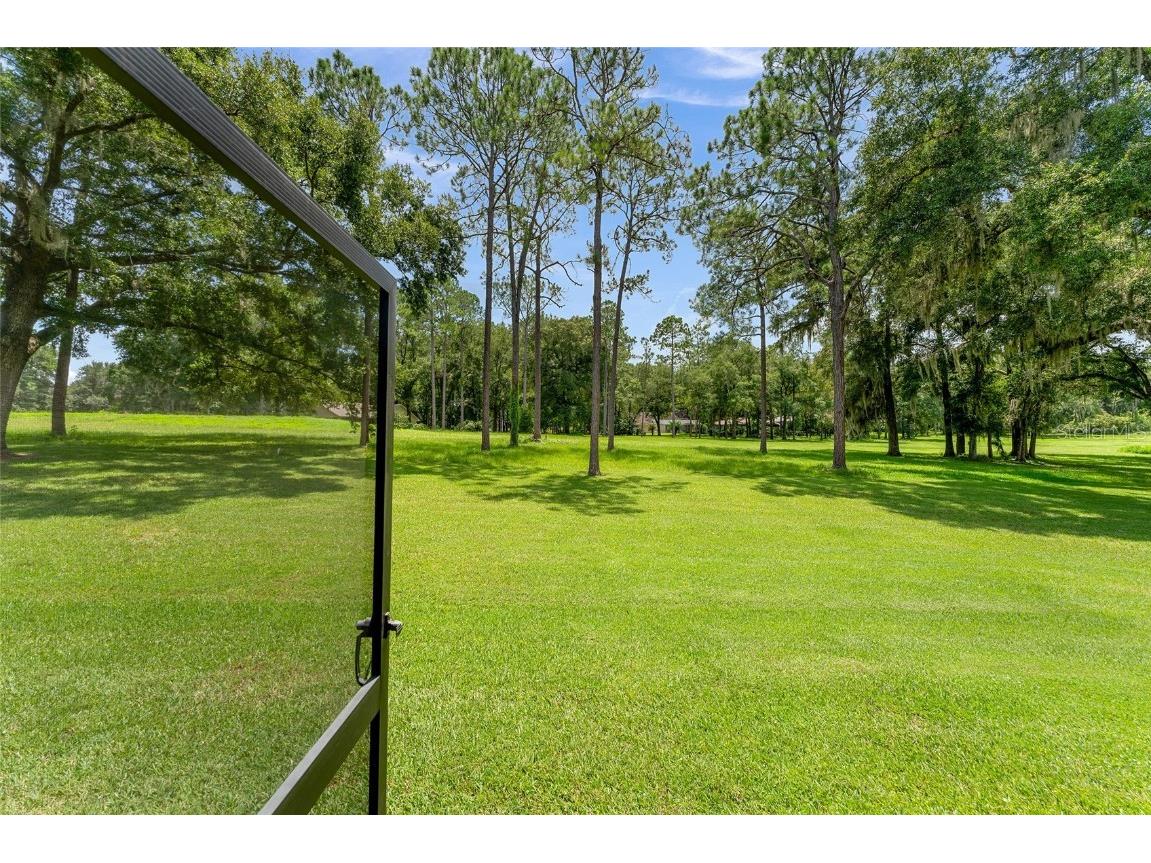 19660 SW 83rd Place Road #C13 Dunnellon FL 34432 OM711988 image47