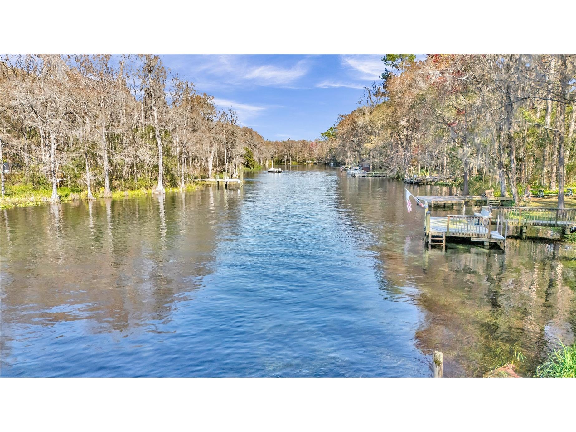 19660 SW 83rd Place Road #C16 Dunnellon FL 34432 - RAINBOW RIVER OM723445 image58