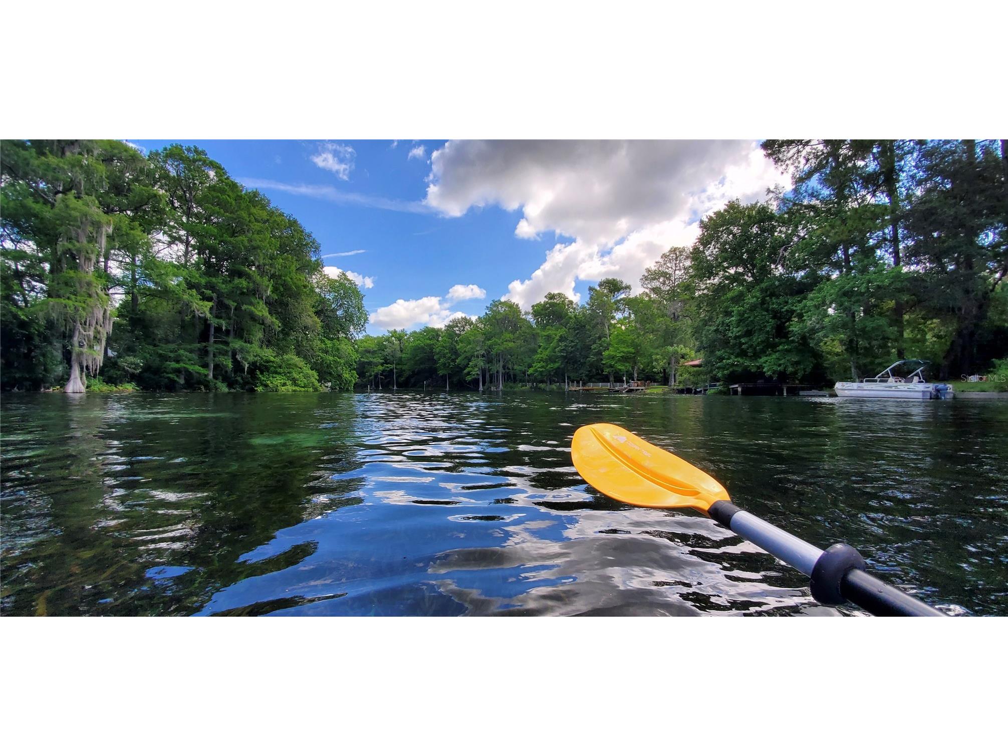 19660 SW 83rd Place Road #C16 Dunnellon FL 34432 - RAINBOW RIVER OM723445 image60