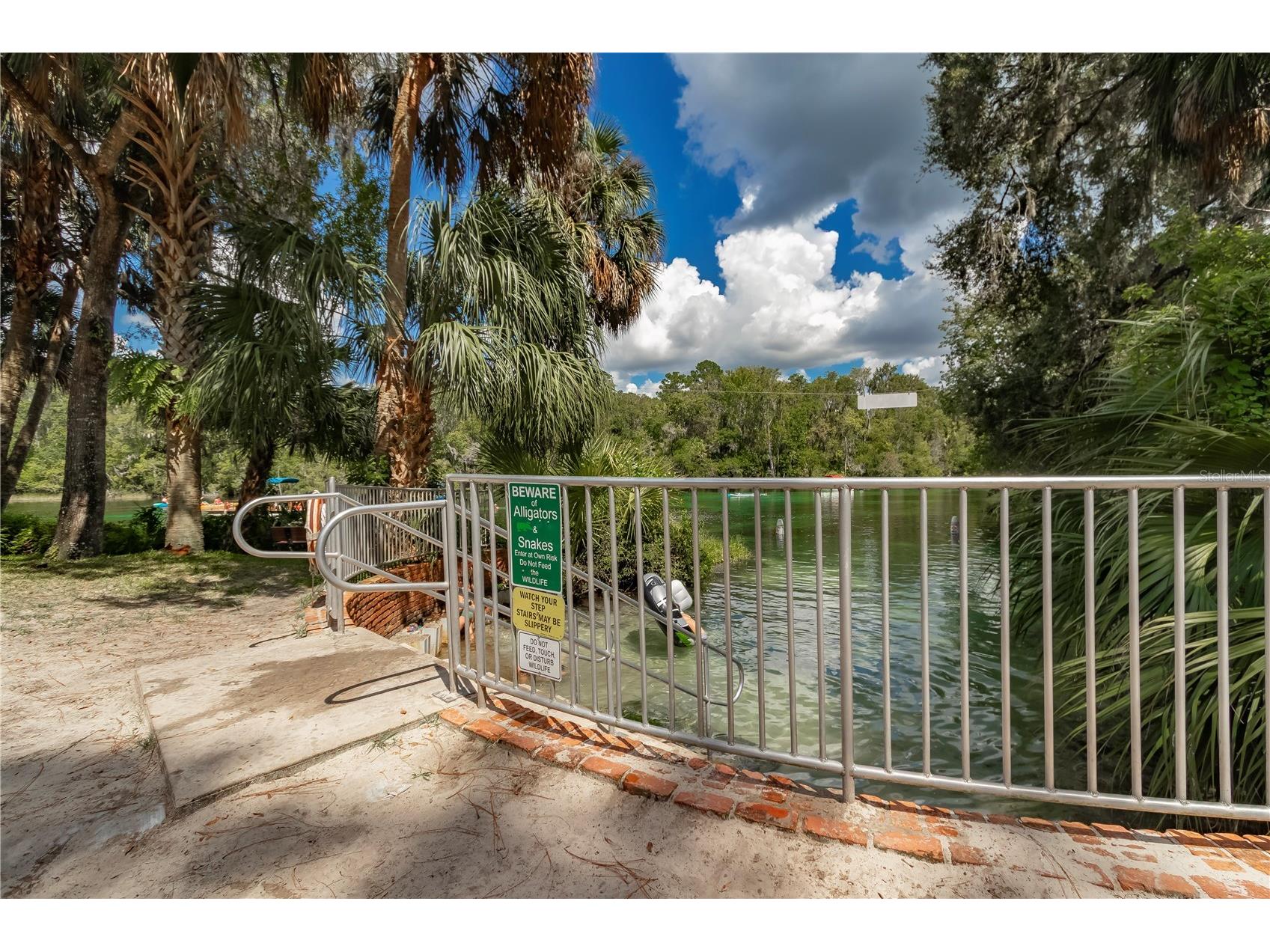 19660 SW 83rd Place Road #C16 Dunnellon FL 34432 - RAINBOW RIVER OM723445 image63