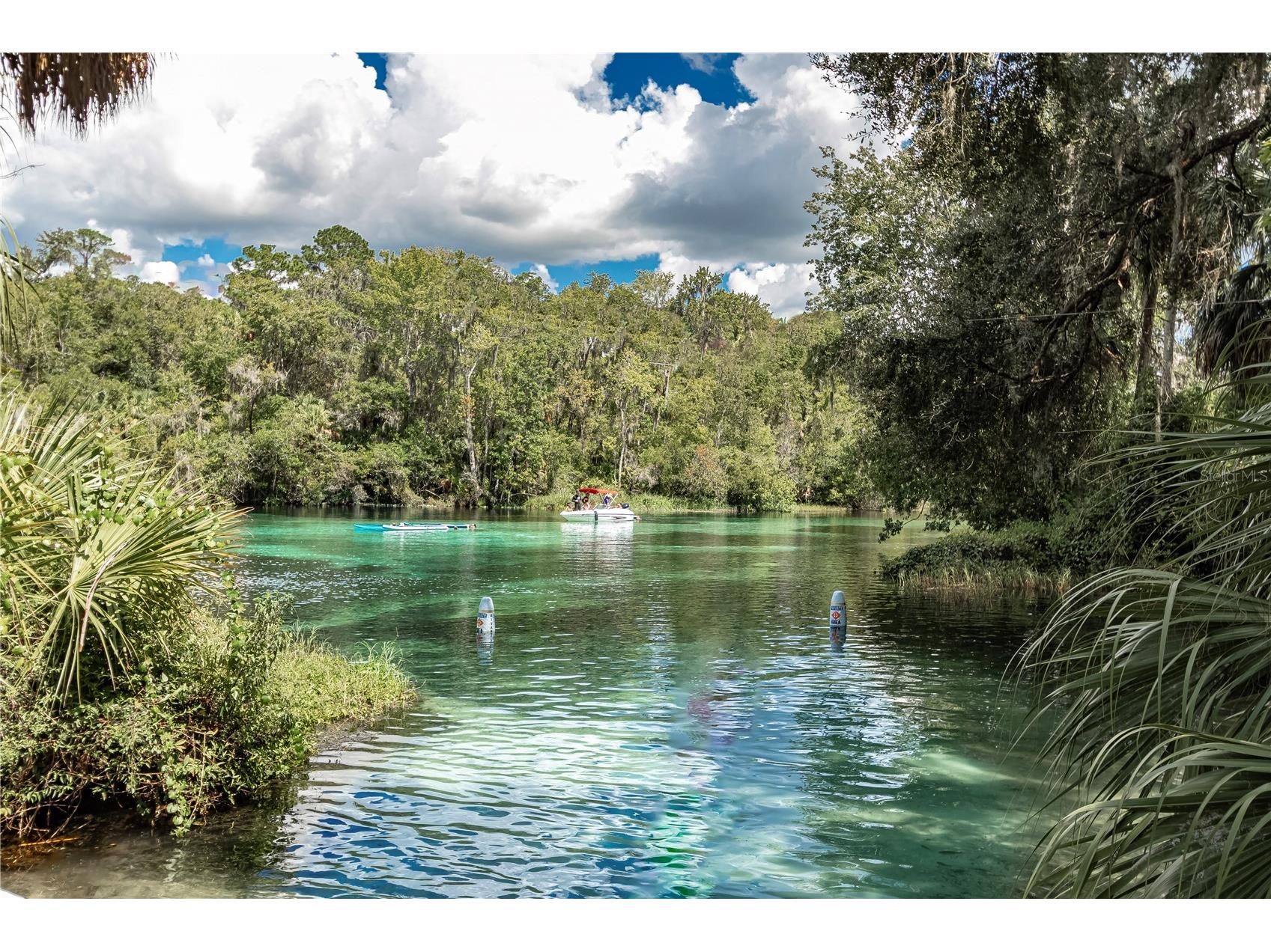 19660 SW 83rd Place Road #C16 Dunnellon FL 34432 - RAINBOW RIVER OM723445 image64