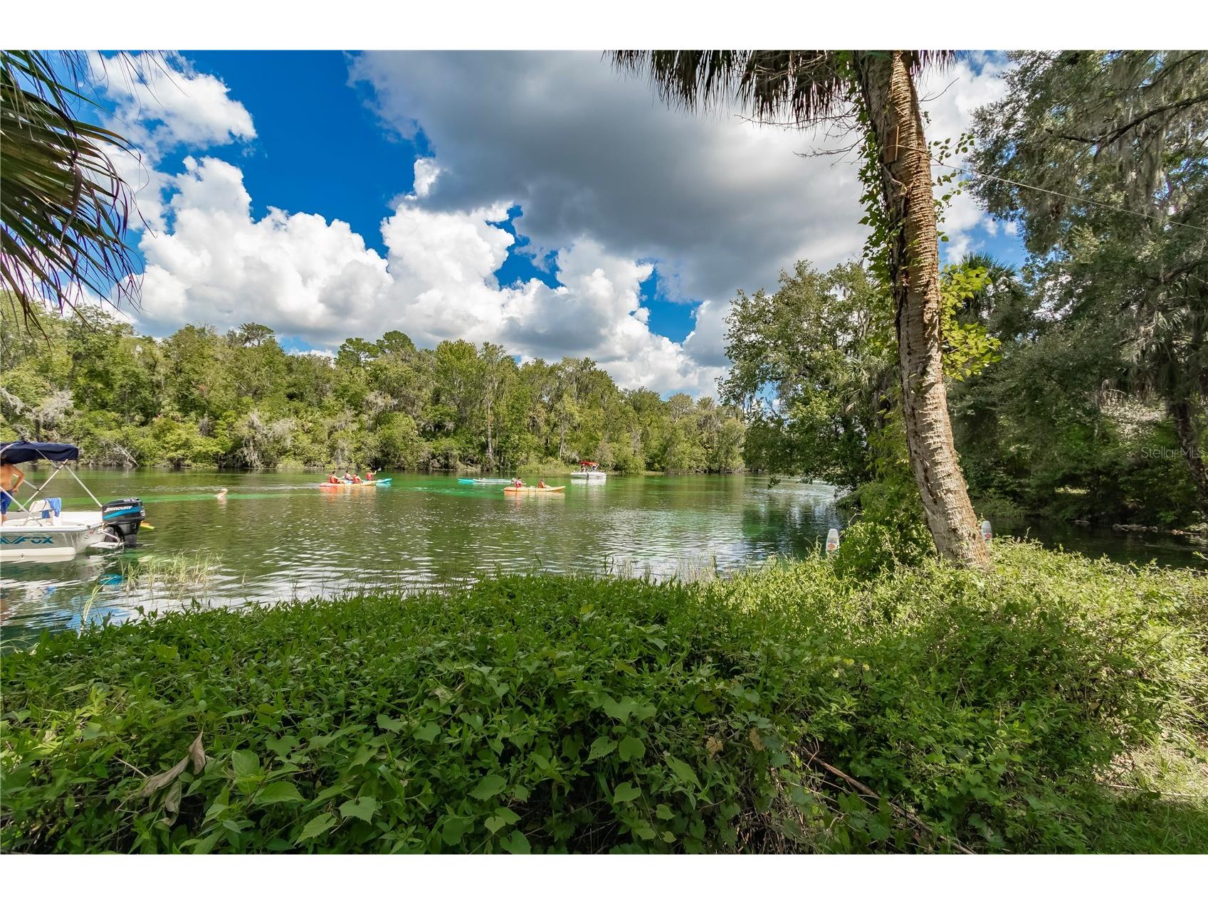 19660 SW 83rd Place Road #C16 Dunnellon FL 34432 - RAINBOW RIVER OM723445 image65