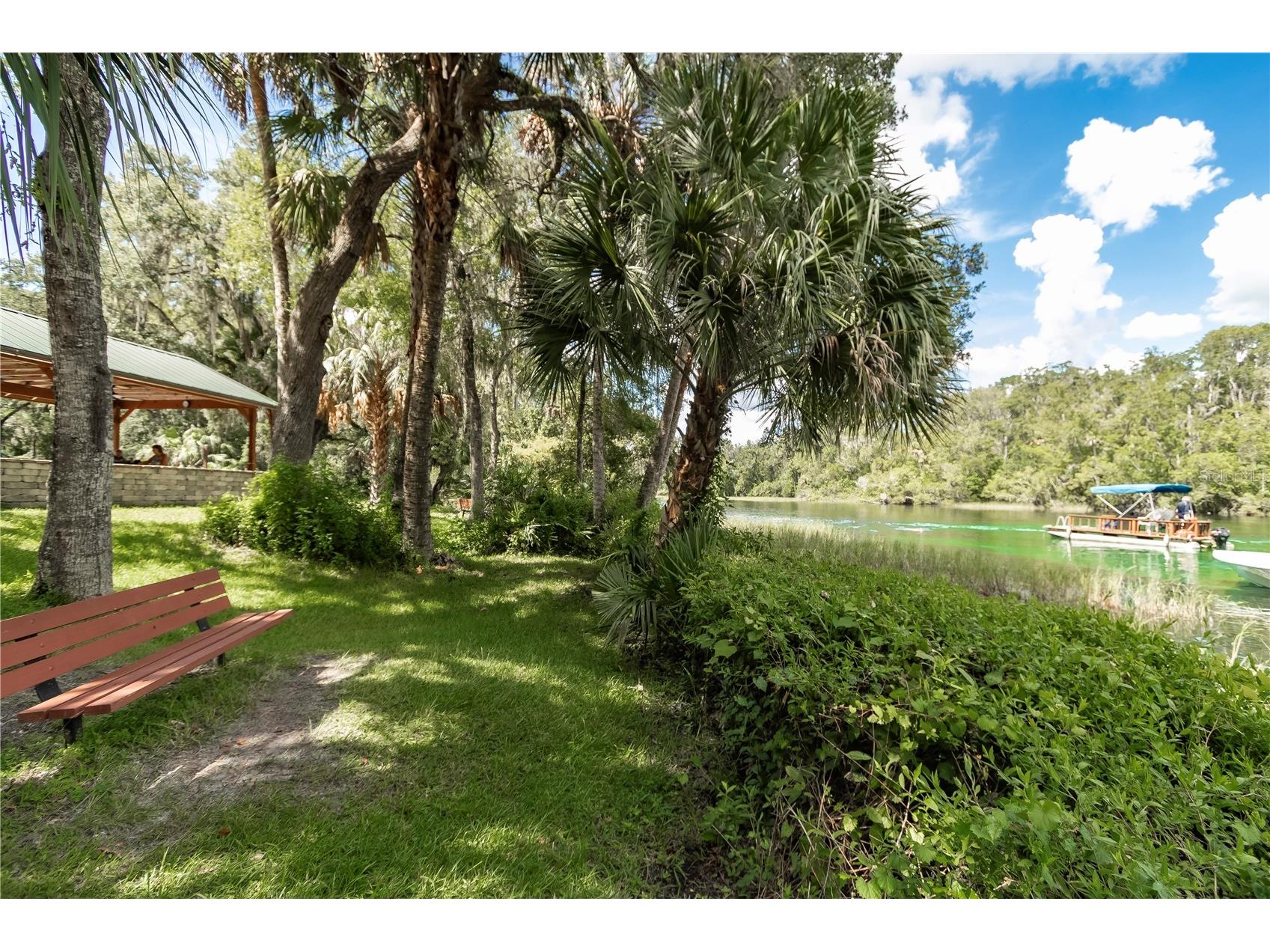 19660 SW 83rd Place Road #C16 Dunnellon FL 34432 - RAINBOW RIVER OM723445 image66