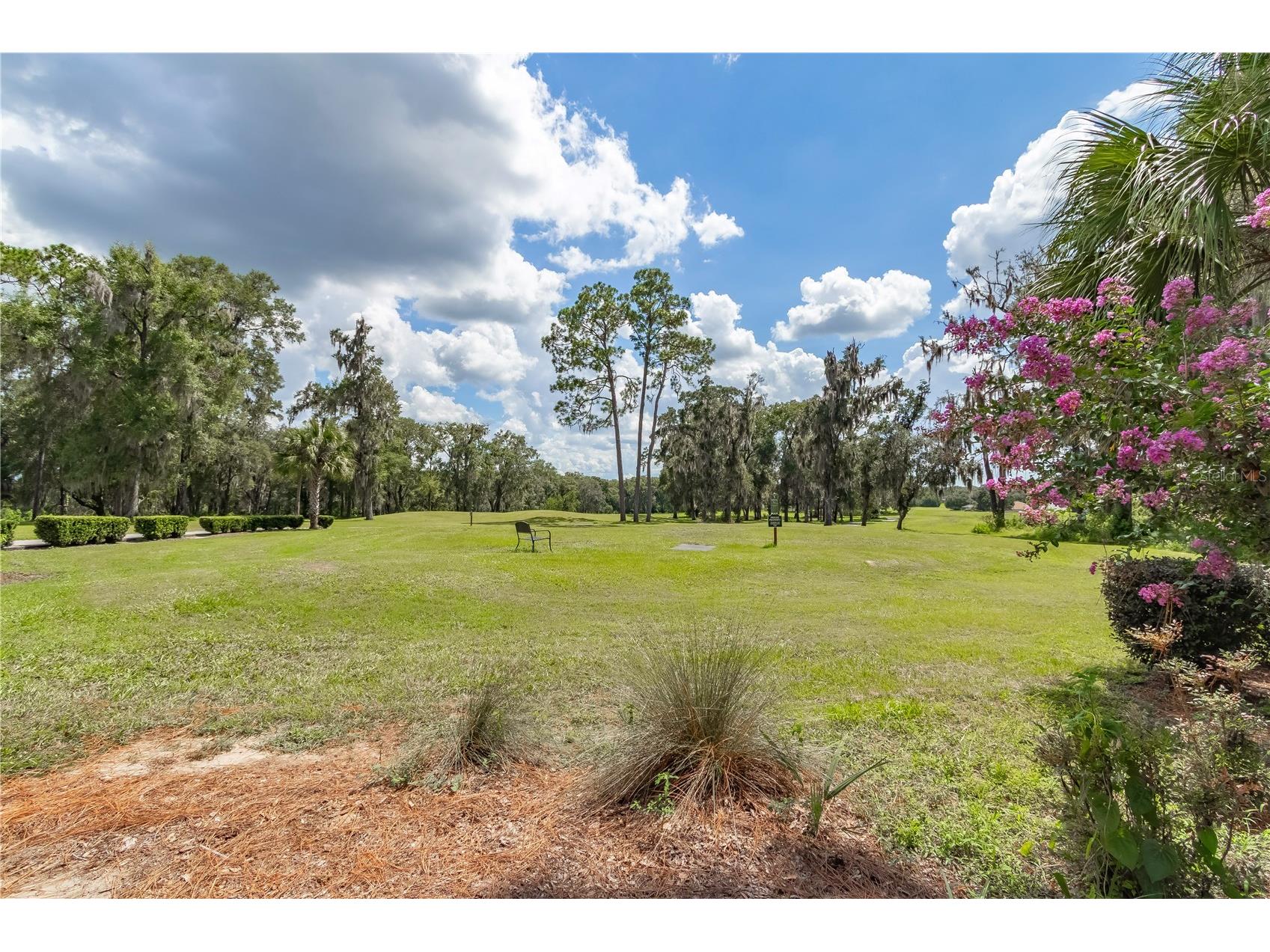 19660 SW 83rd Place Road #C16 Dunnellon FL 34432 - RAINBOW RIVER OM723445 image68