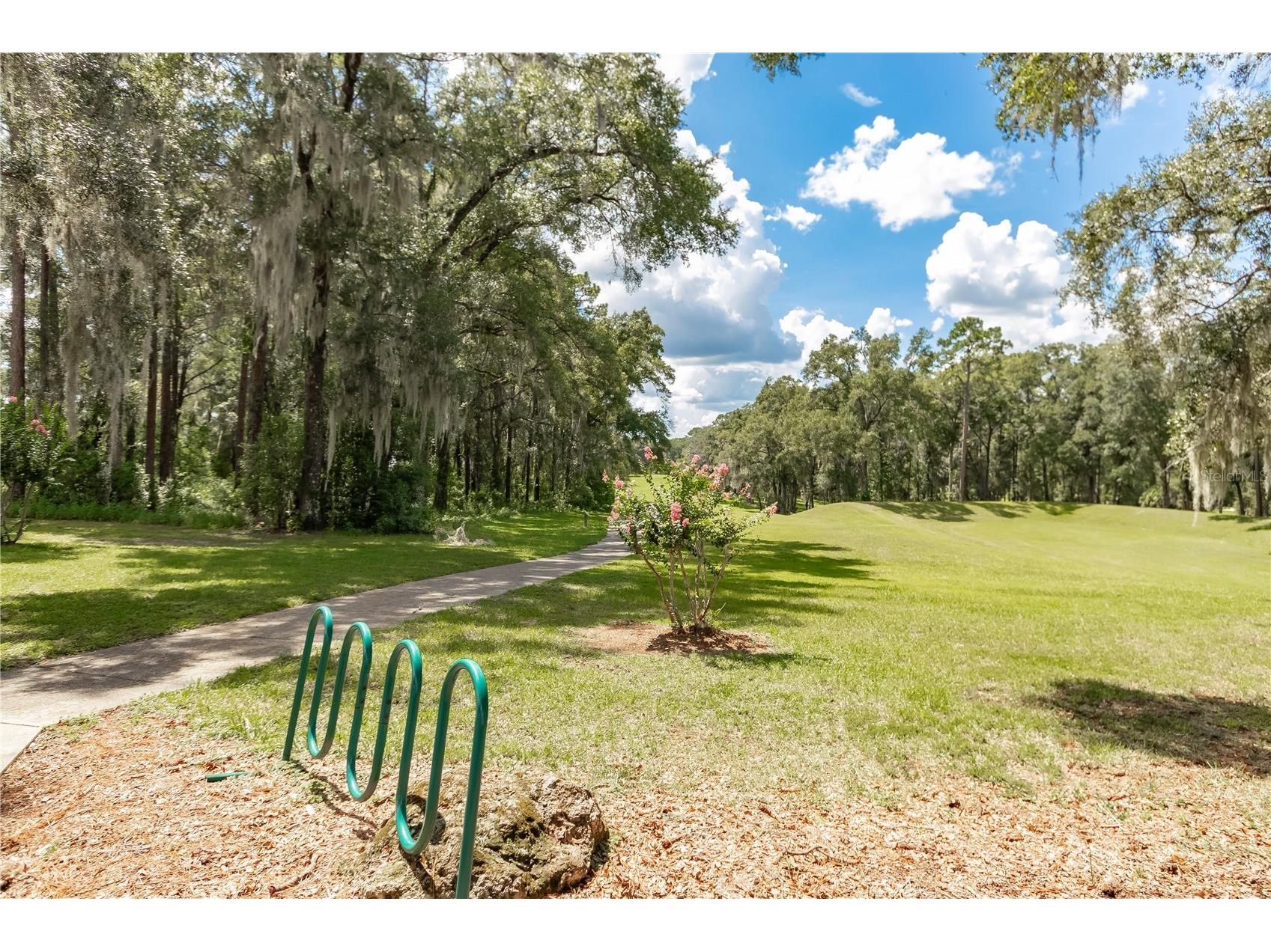 19660 SW 83rd Place Road #C16 Dunnellon FL 34432 - RAINBOW RIVER OM723445 image69