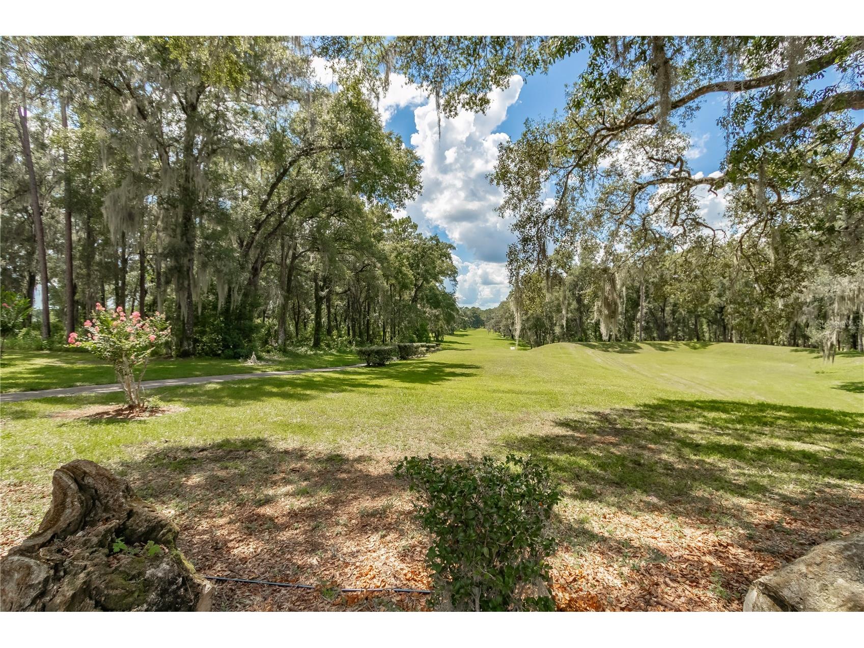 19660 SW 83rd Place Road #C16 Dunnellon FL 34432 - RAINBOW RIVER OM723445 image70