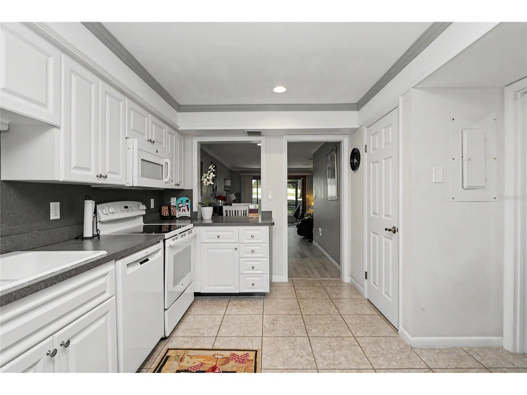 19660 SW 83rd Place Road #C16 Dunnellon FL 34432 - RAINBOW RIVER OM723445 image8