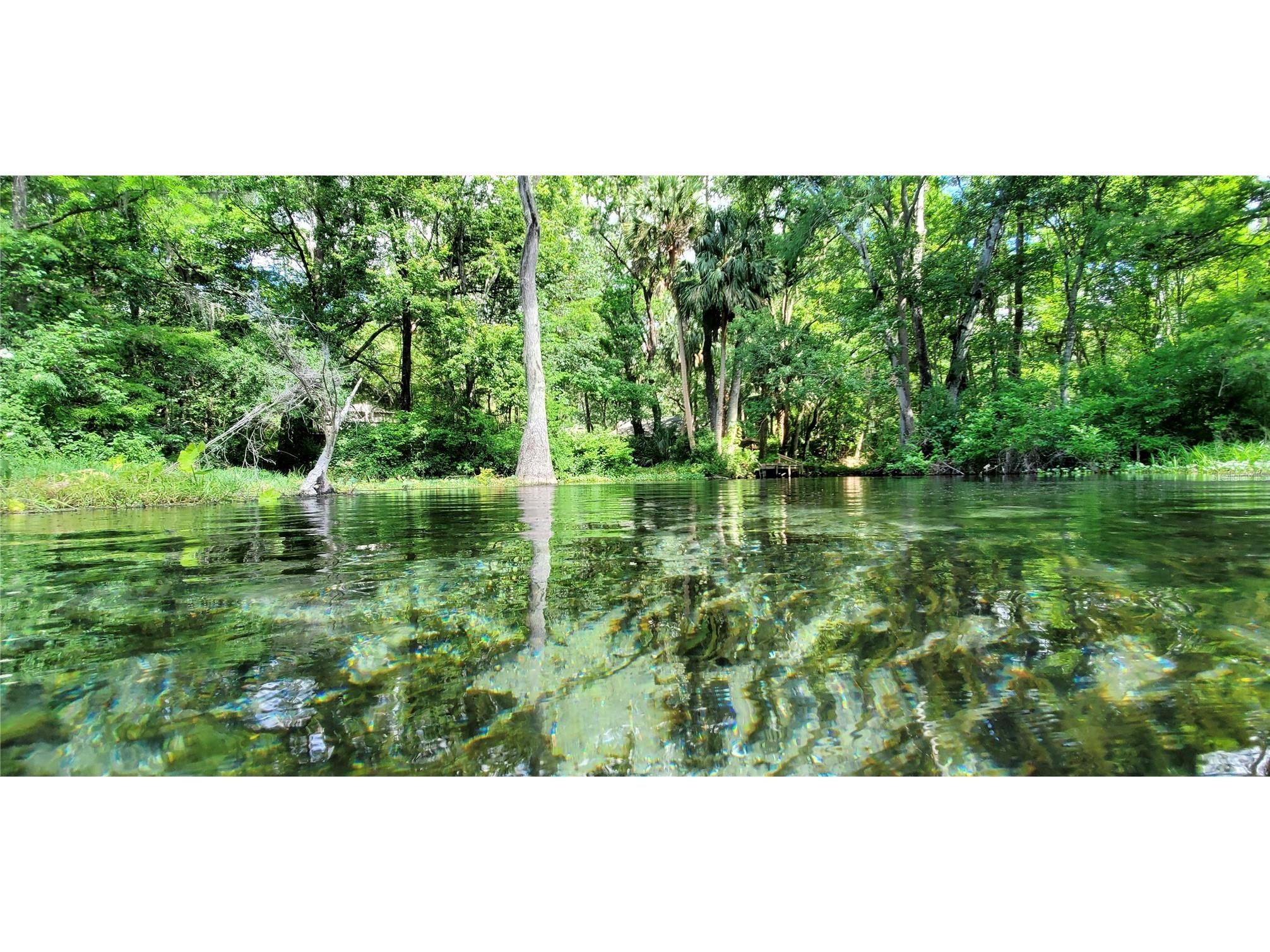19660 SW 83rd Place Road #C16 Dunnellon FL 34432 - RAINBOW RIVER OM723445 image81