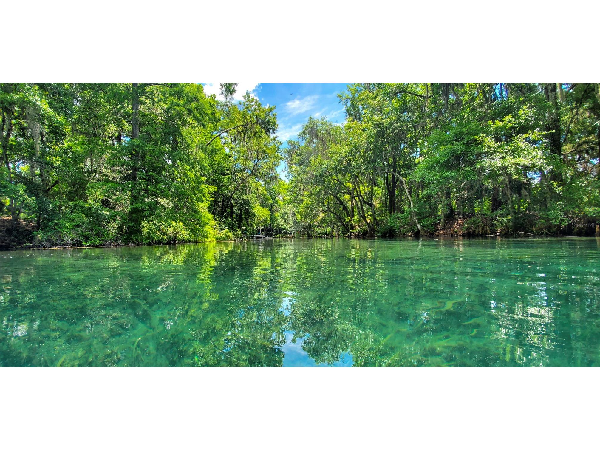 19660 SW 83rd Place Road #C16 Dunnellon FL 34432 - RAINBOW RIVER OM723445 image86