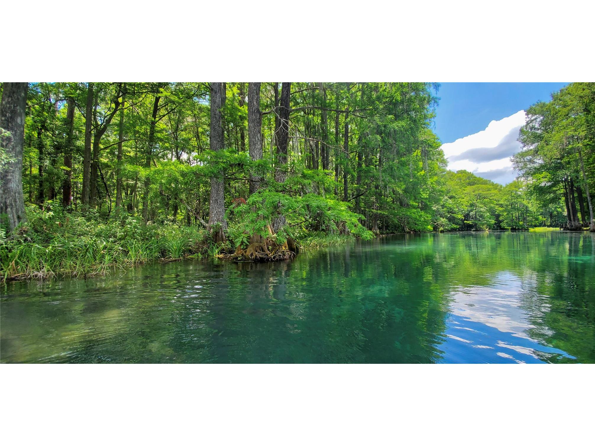 19660 SW 83rd Place Road #C16 Dunnellon FL 34432 - RAINBOW RIVER OM723445 image87