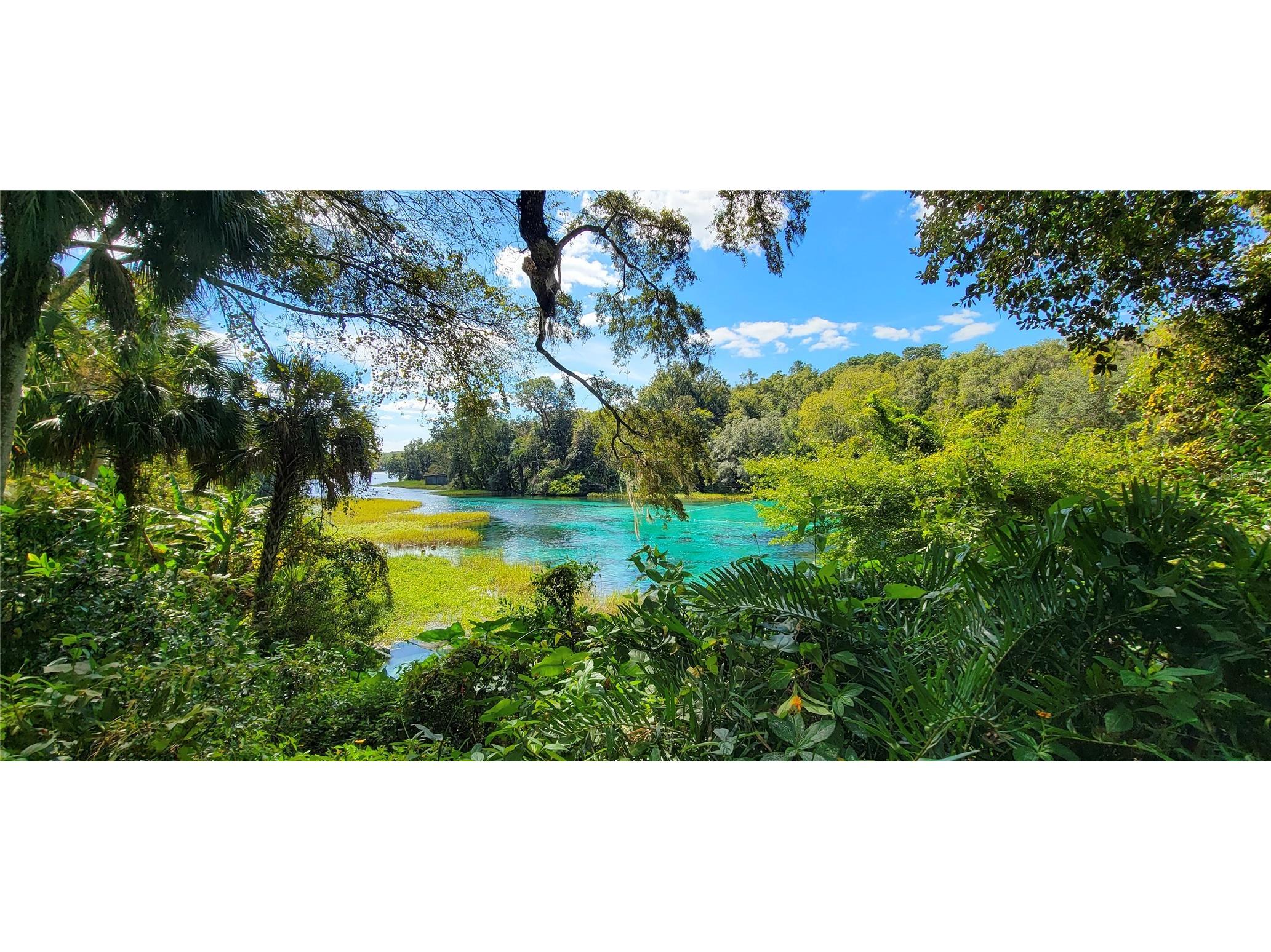 19660 SW 83rd Place Road #C16 Dunnellon FL 34432 - RAINBOW RIVER OM723445 image88