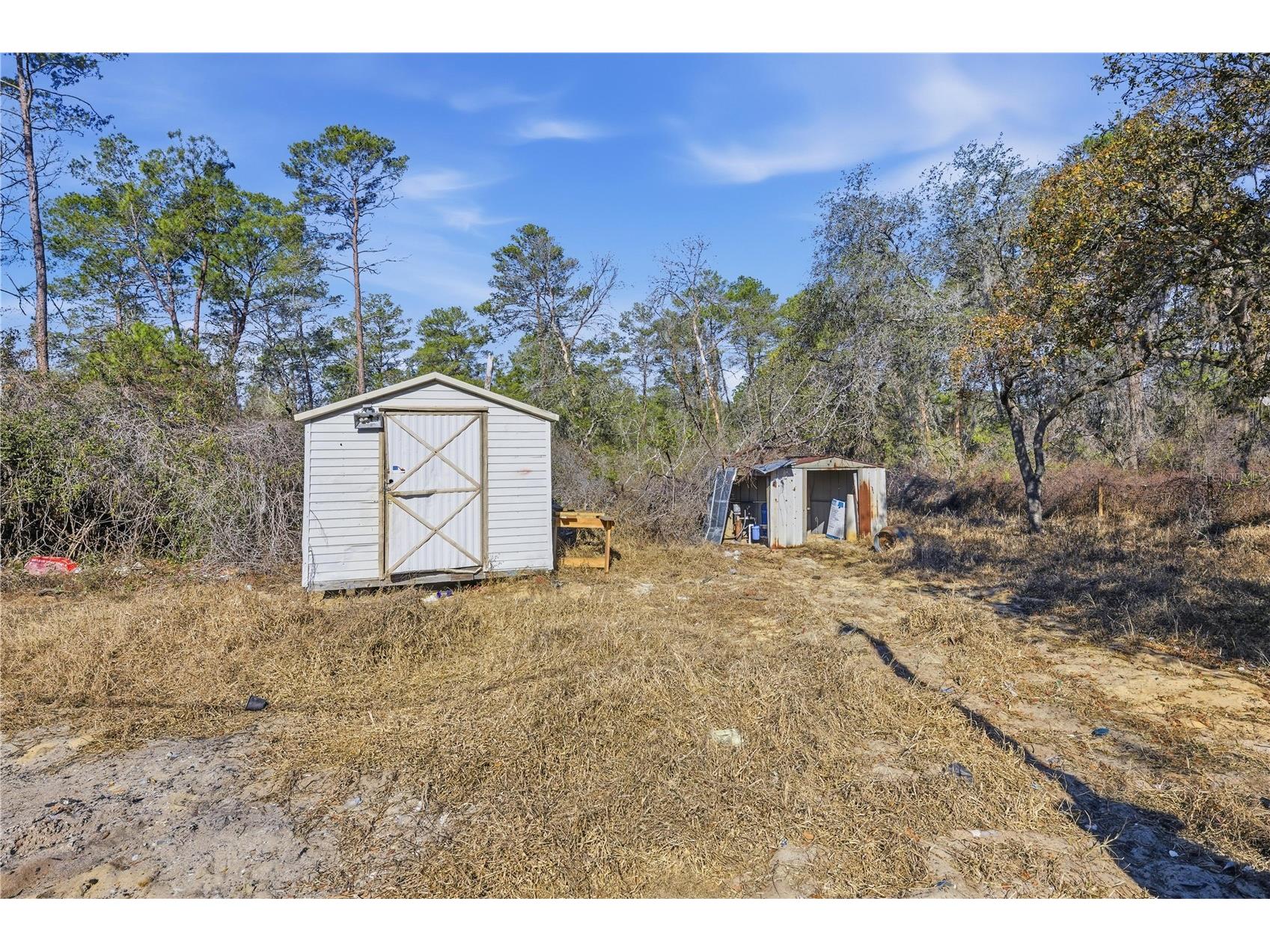 19661 SE 94th Place Ocklawaha FL 32179 O6378272 image19
